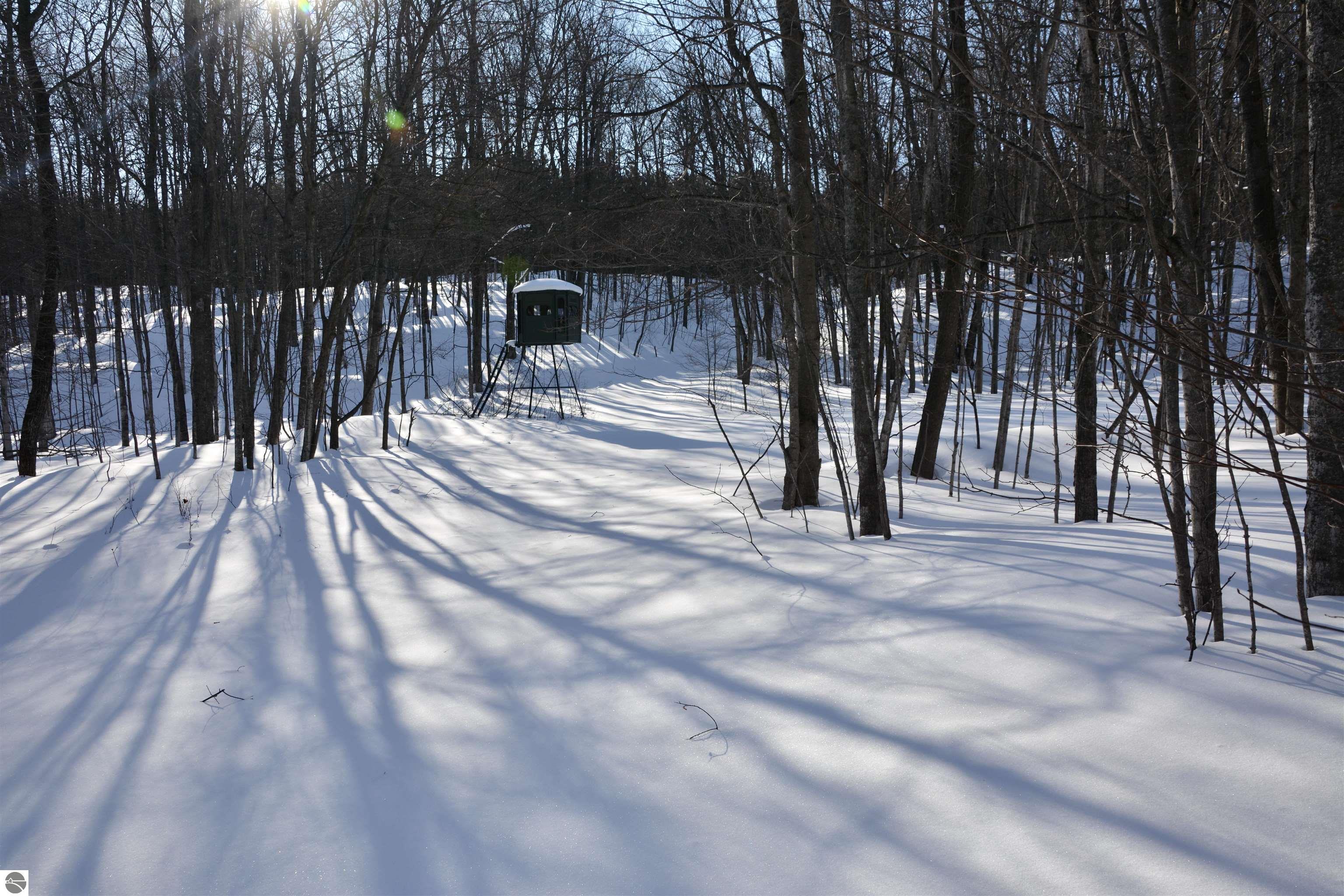 0 S Schomberg Road