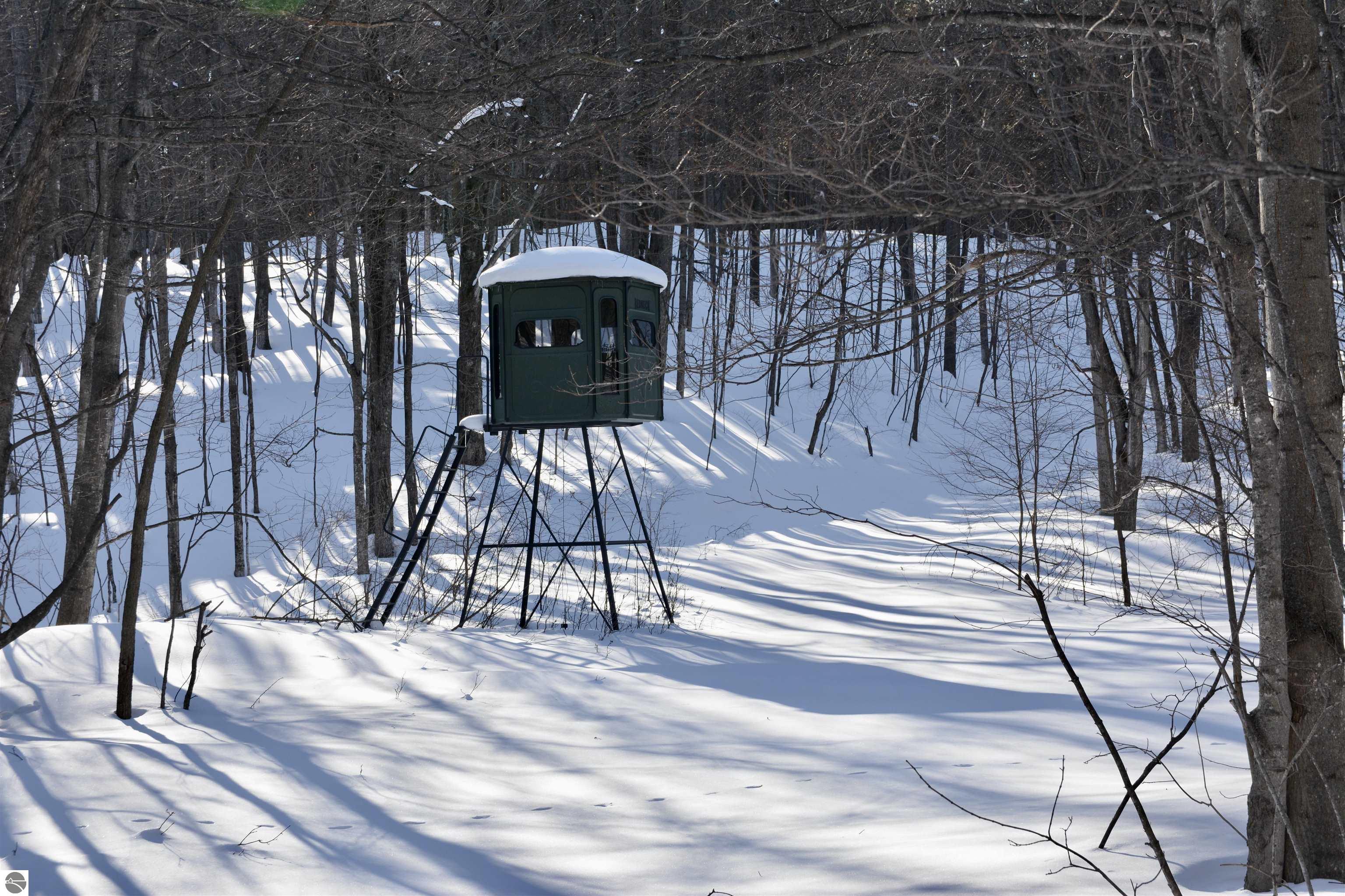 0 S Schomberg Road