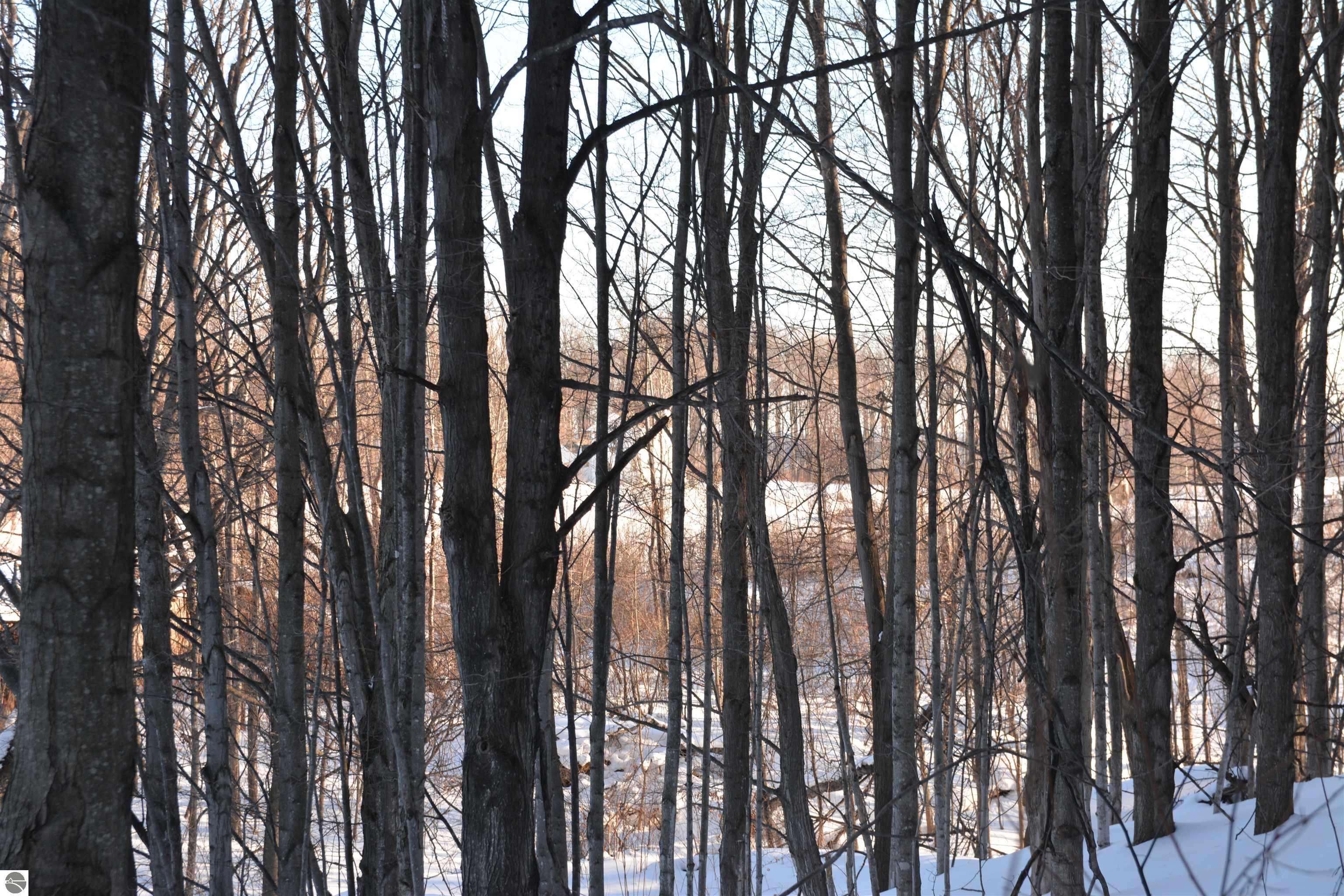0 S Schomberg Road