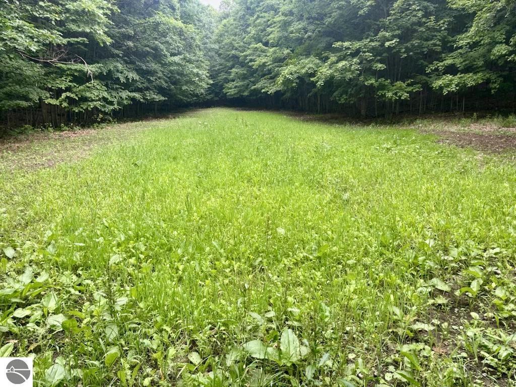 0 S Schomberg Road