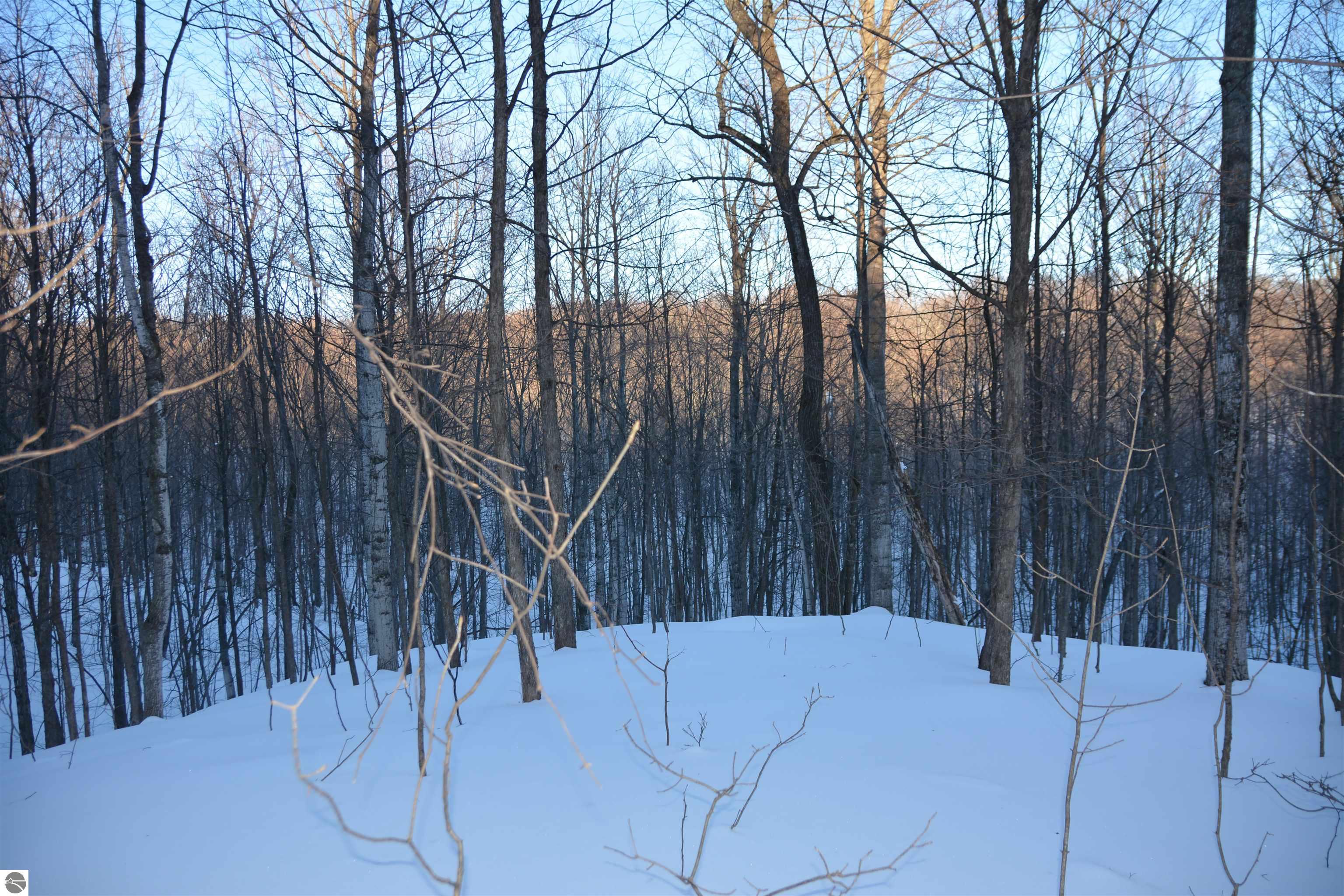 0 S Schomberg Road
