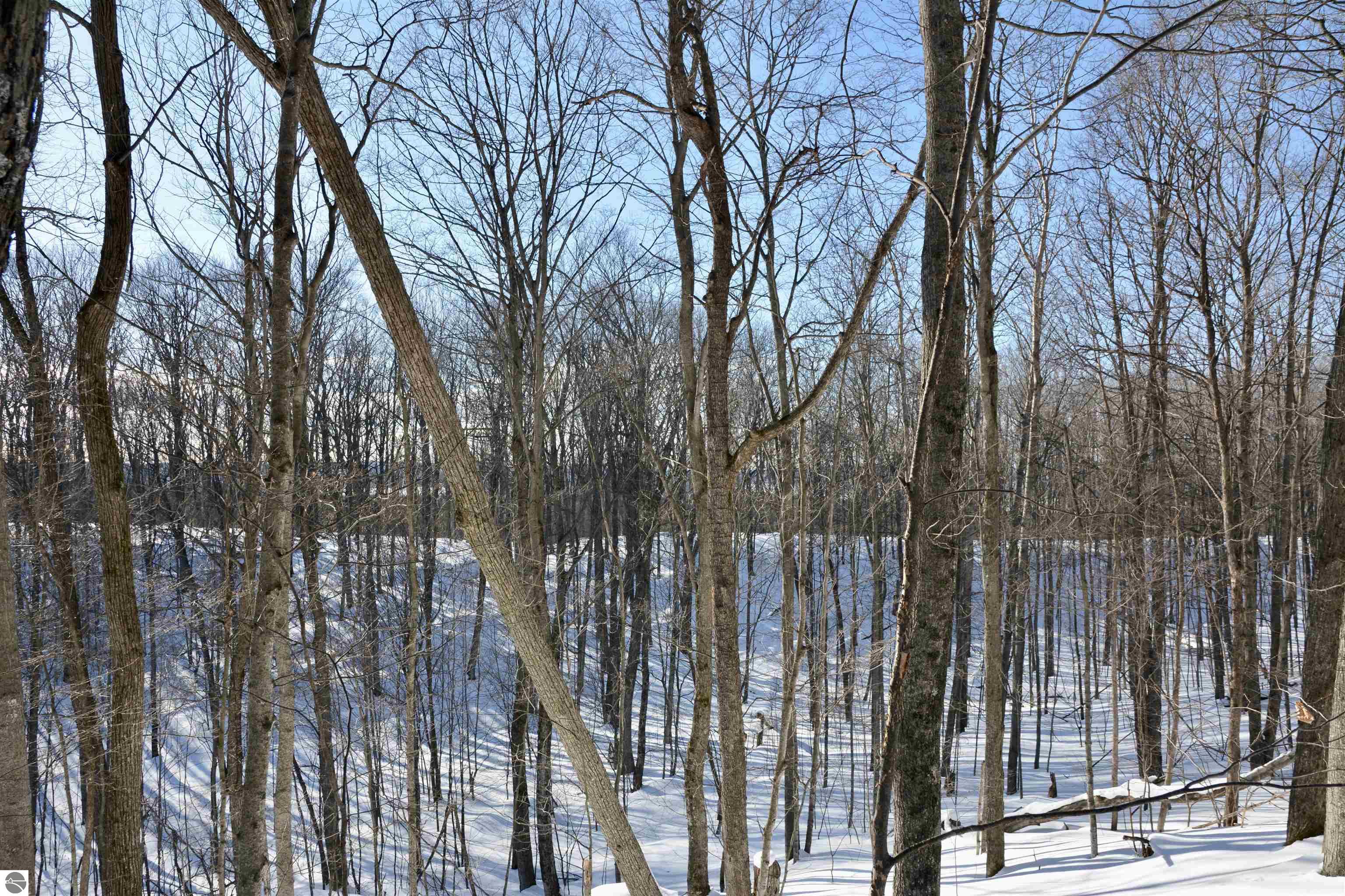 0 S Schomberg Road
