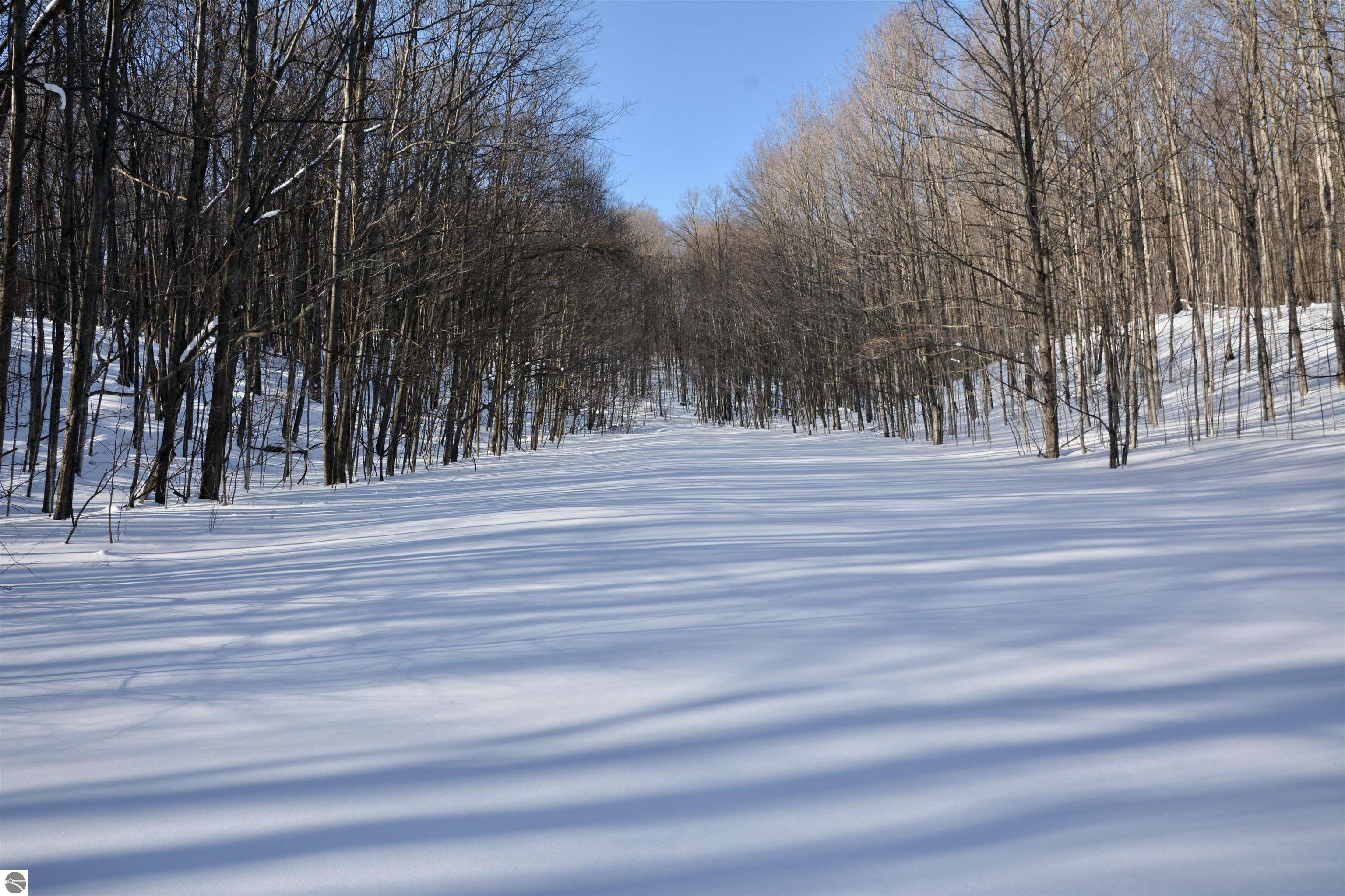 0 S Schomberg Road