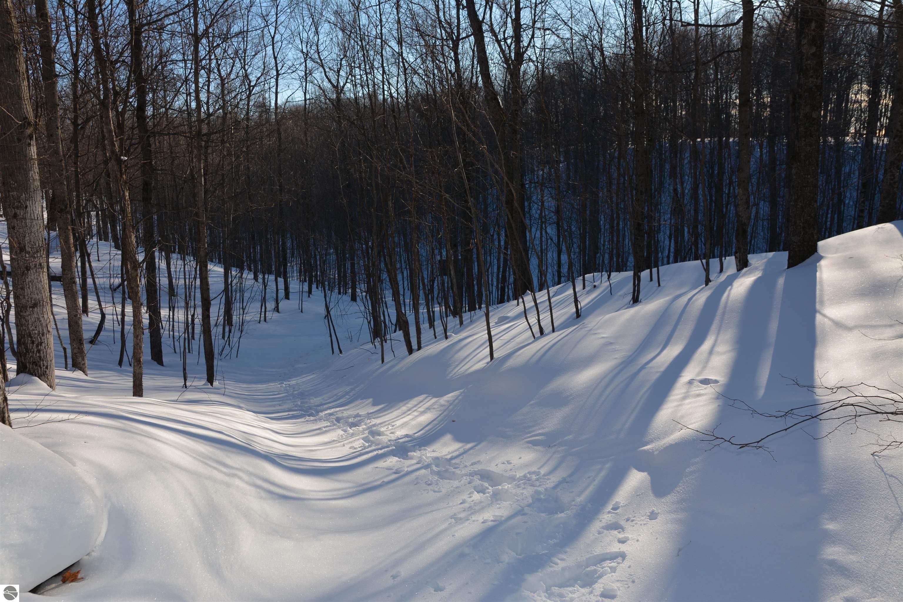 0 S Schomberg Road