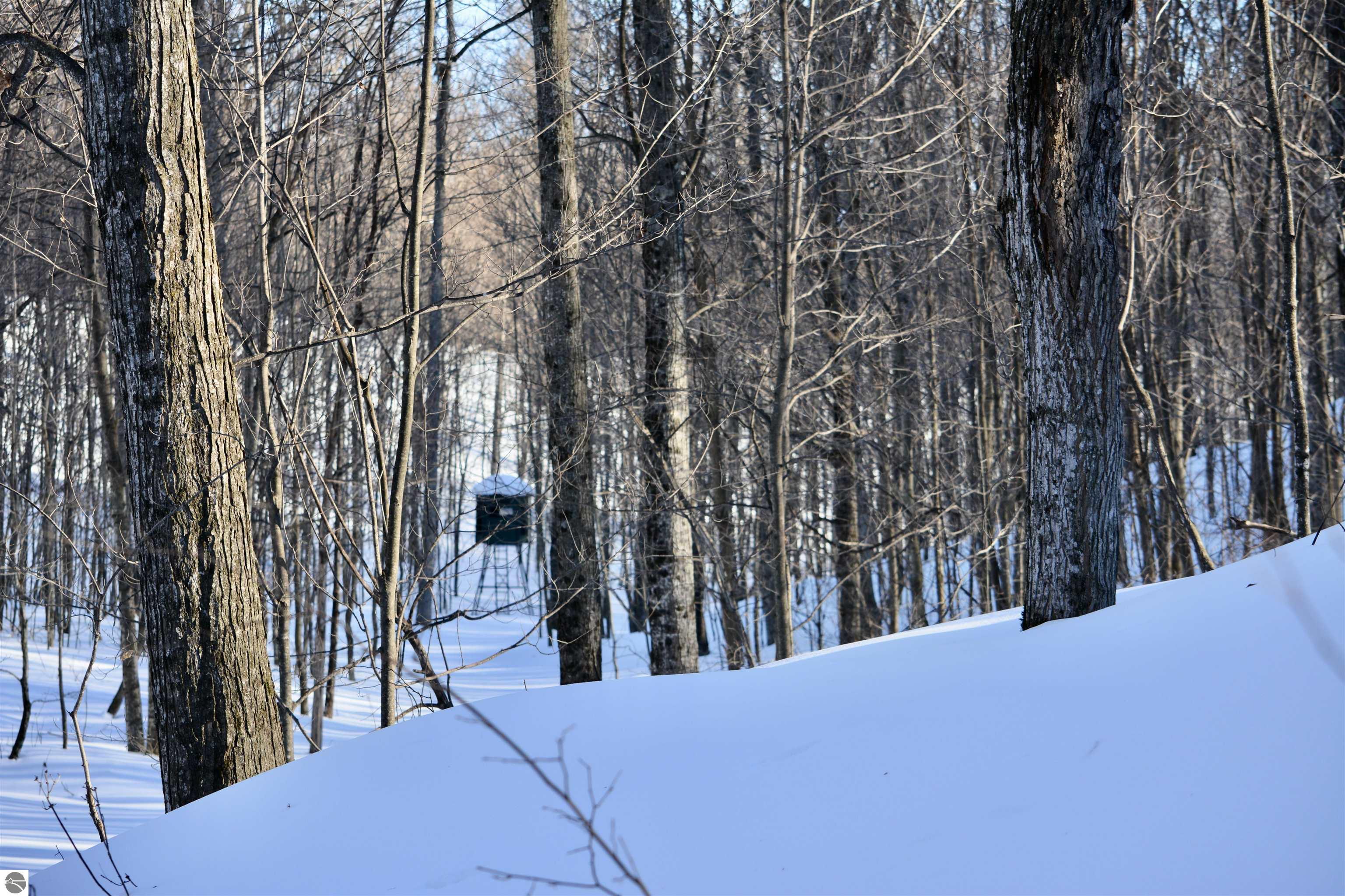 0 S Schomberg Road