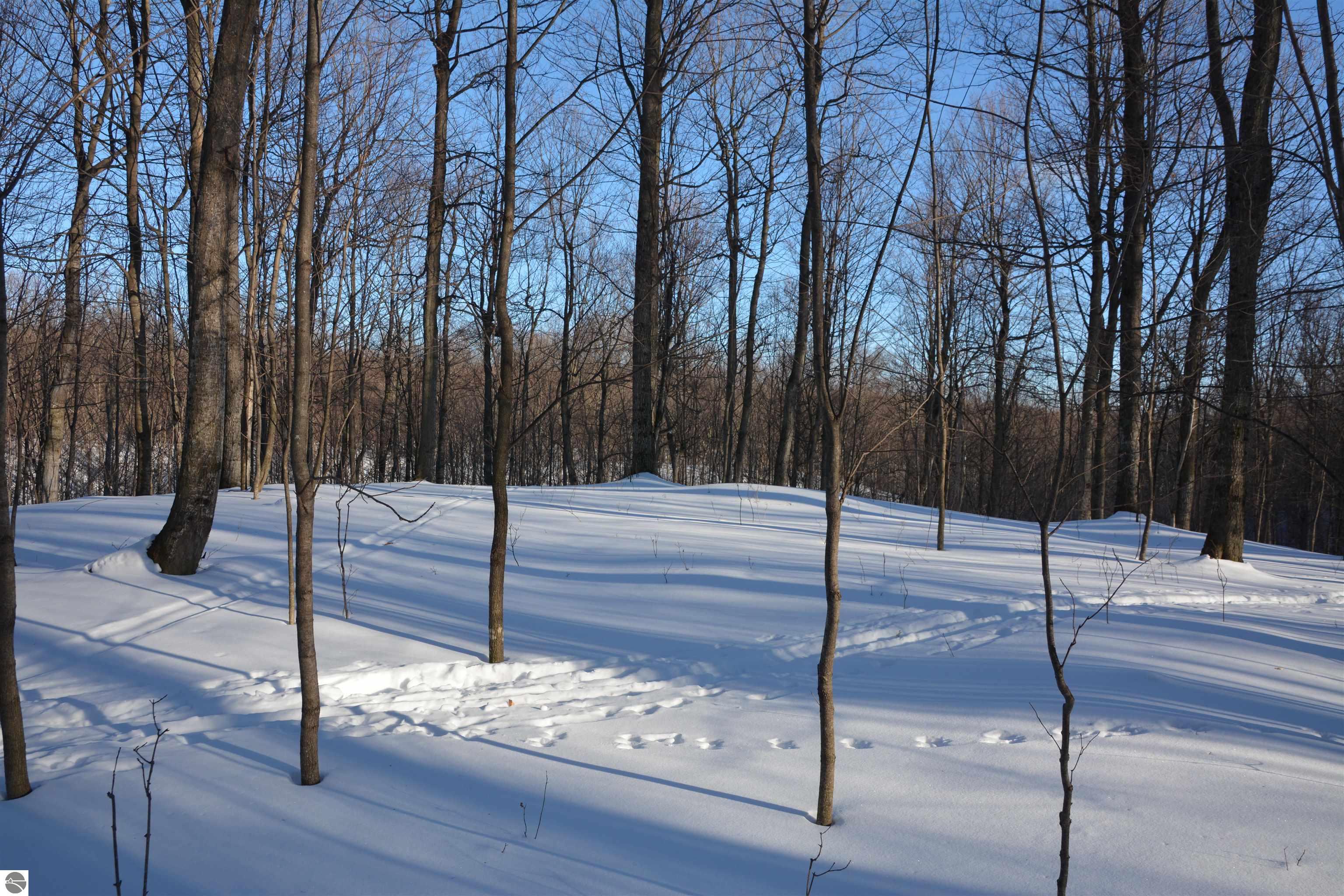 0 S Schomberg Road