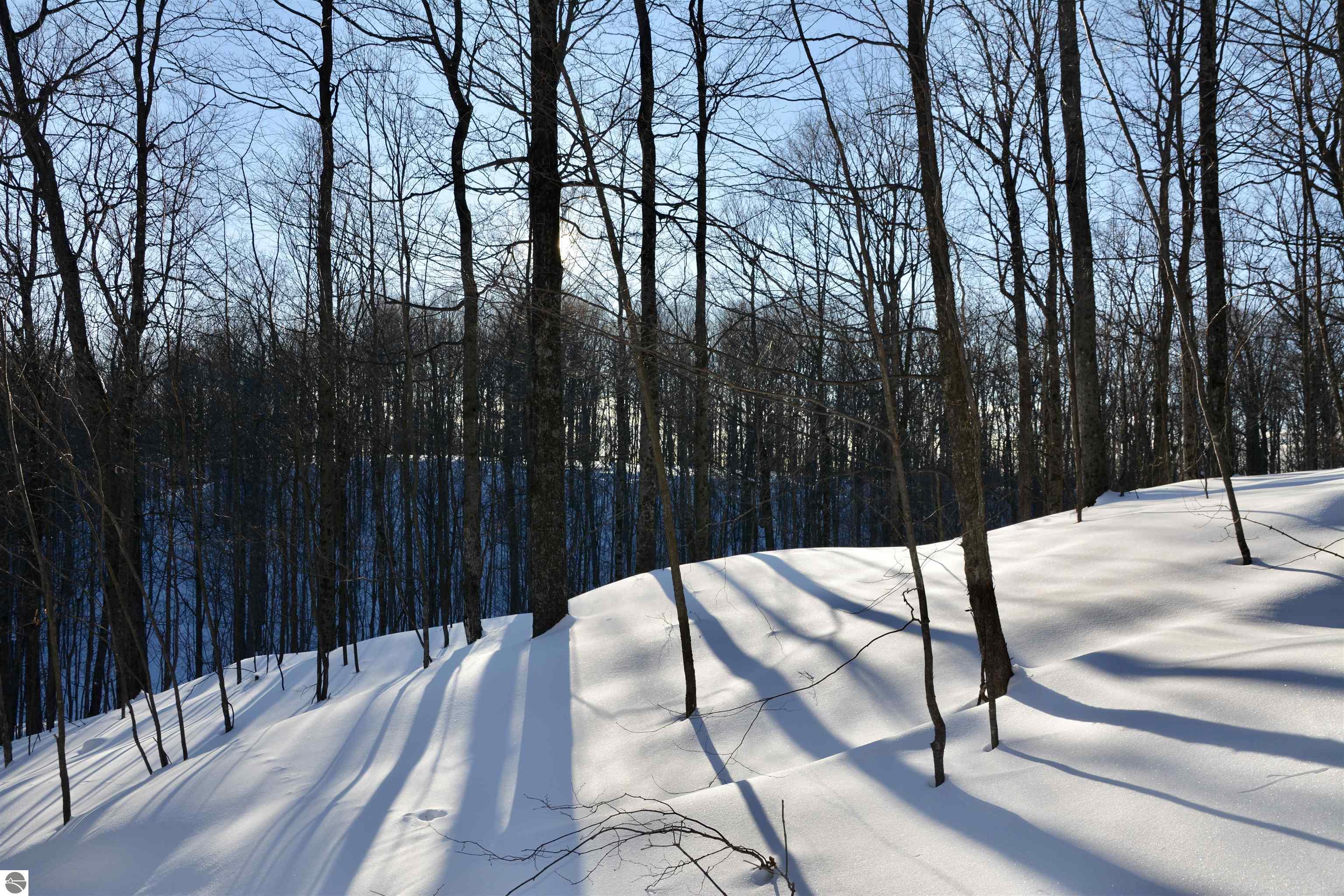 0 S Schomberg Road