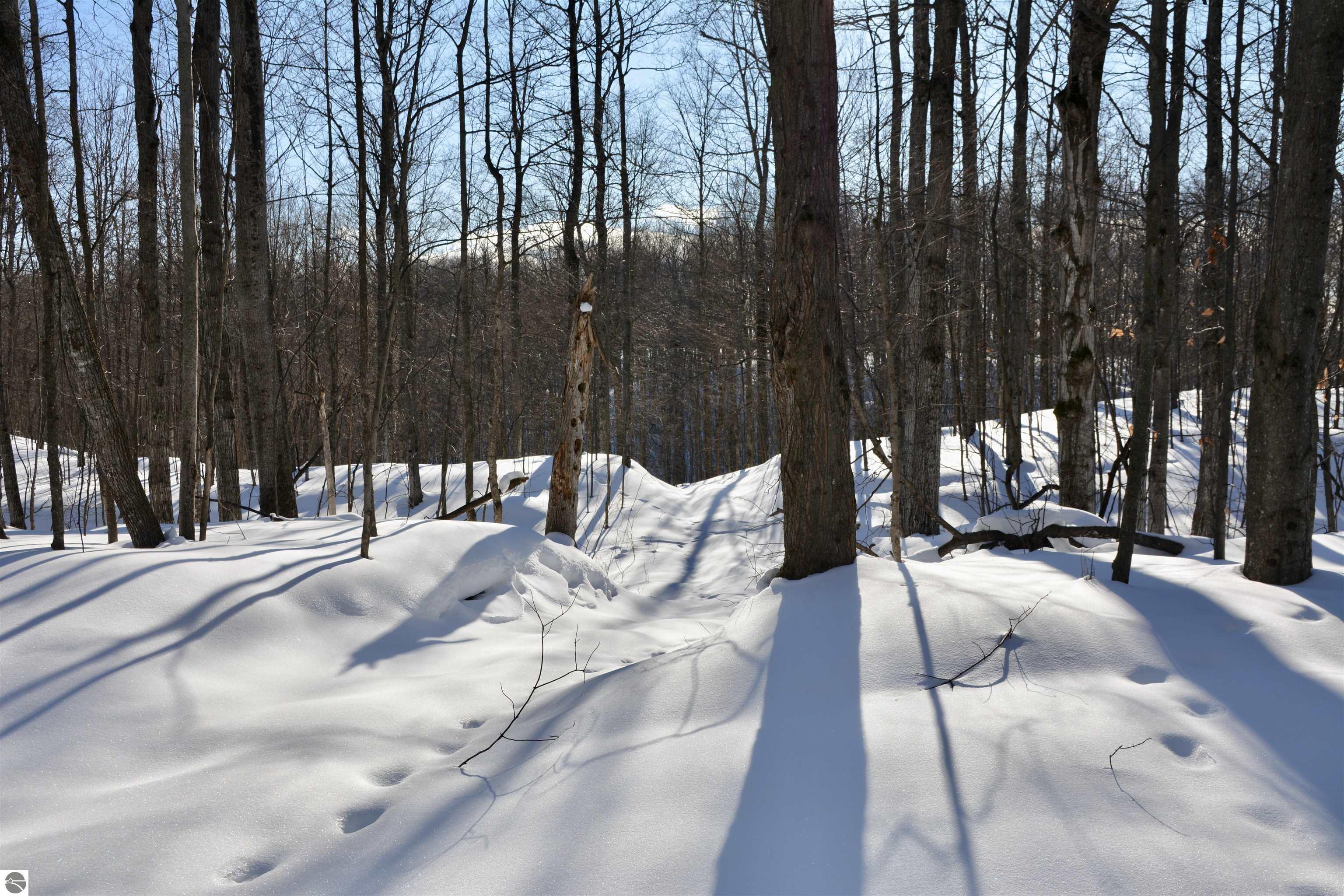 0 S Schomberg Road