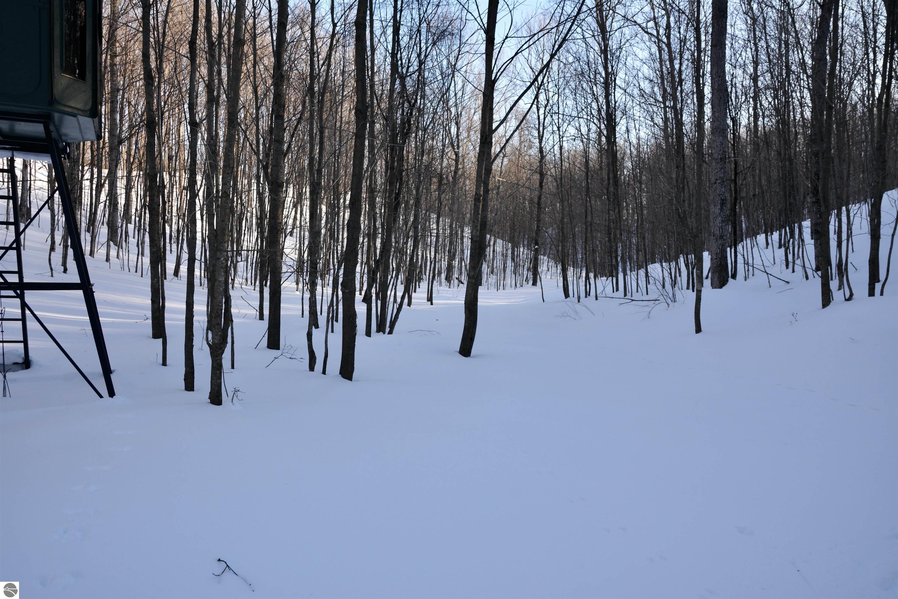 0 S Schomberg Road