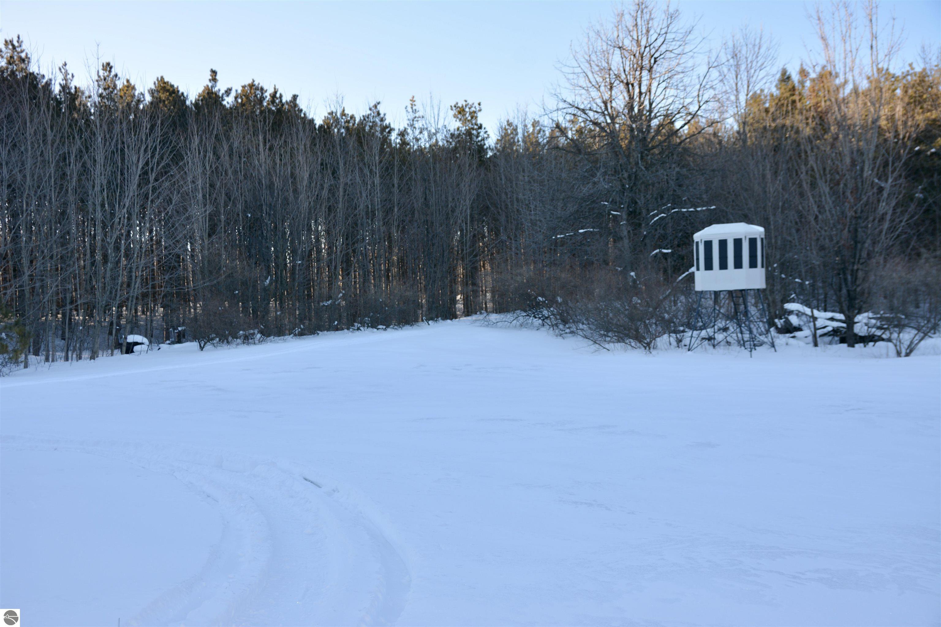 0 S Schomberg Road