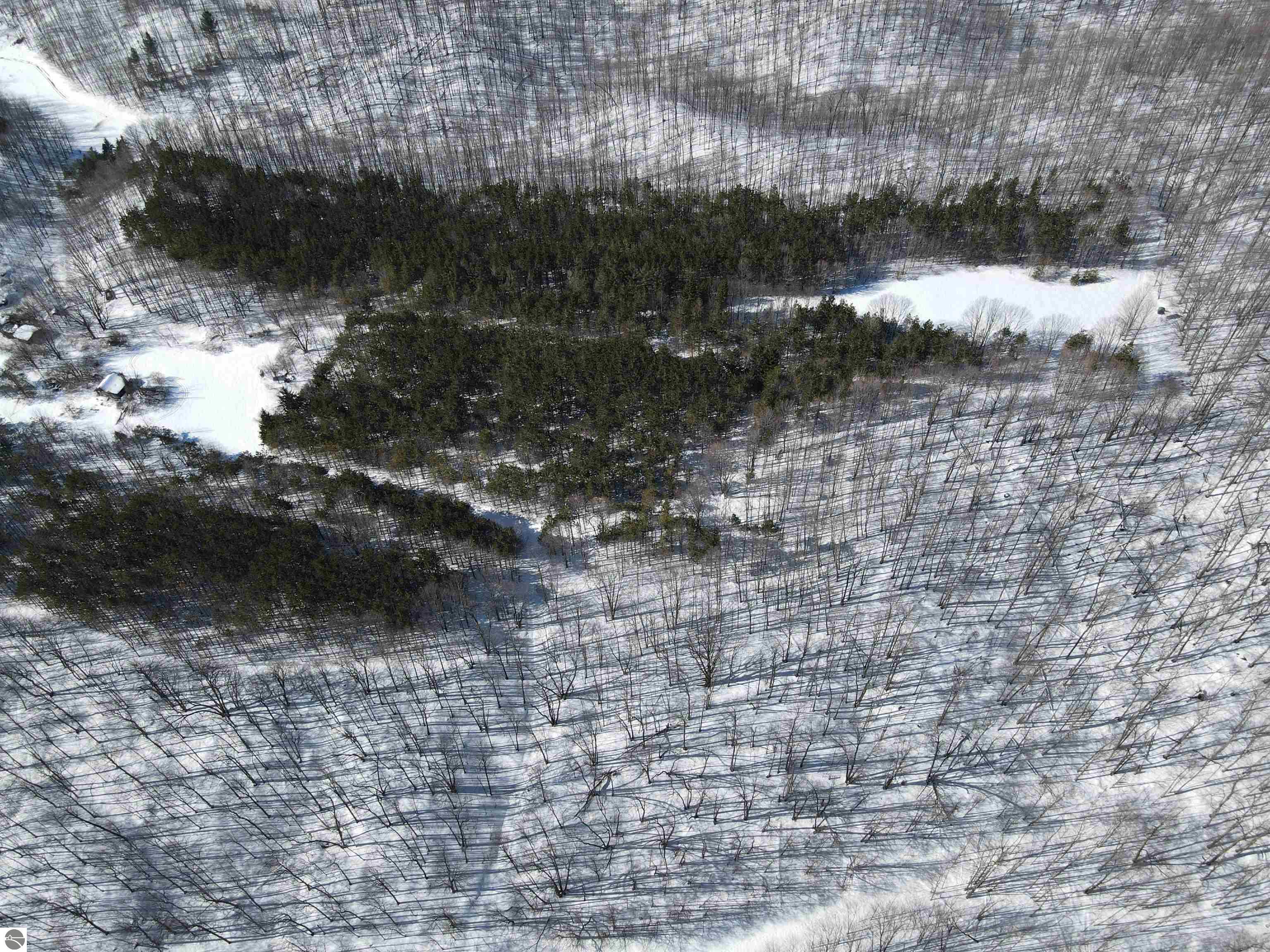 0 S Schomberg Road