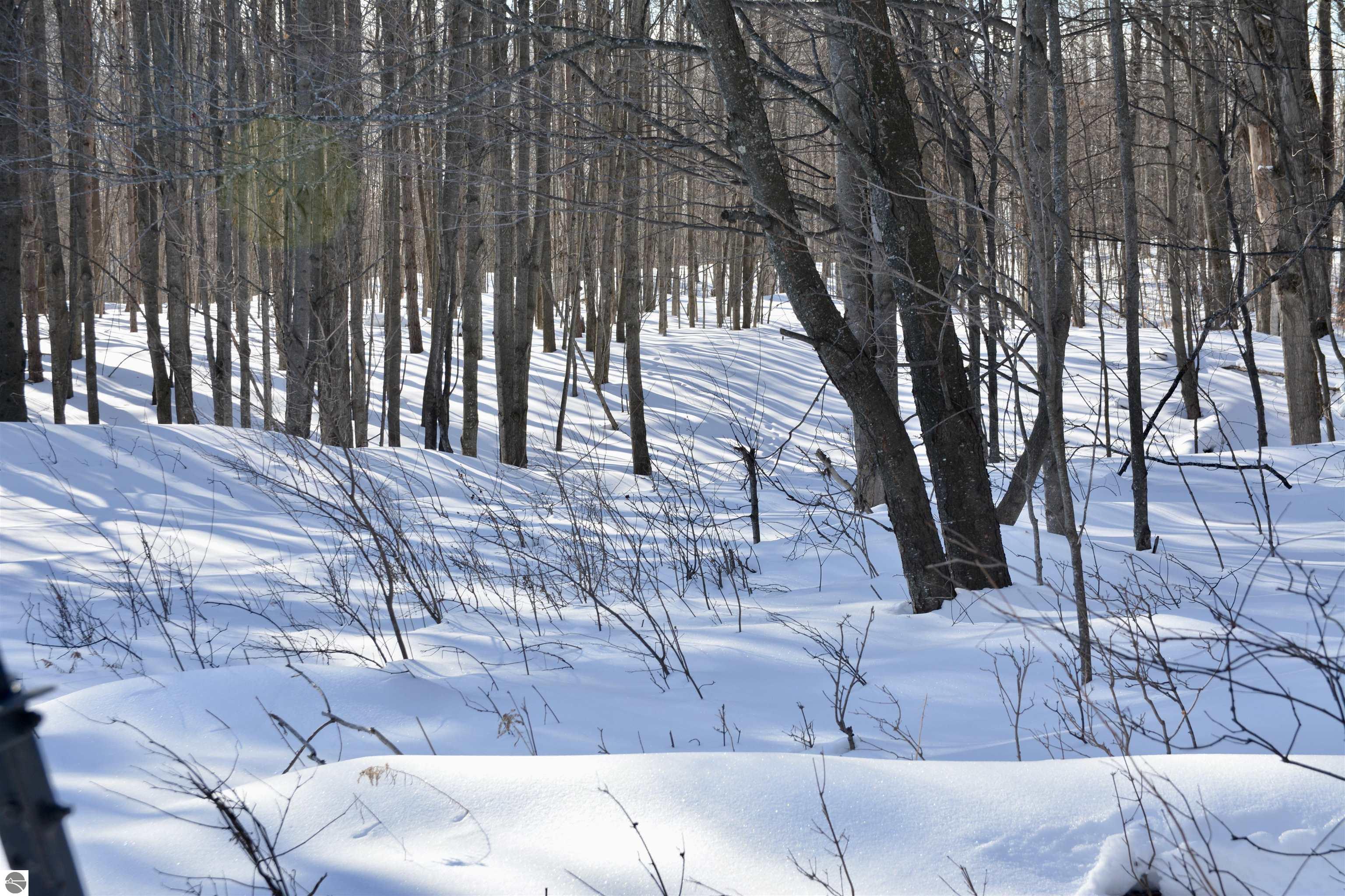 0 S Schomberg Road