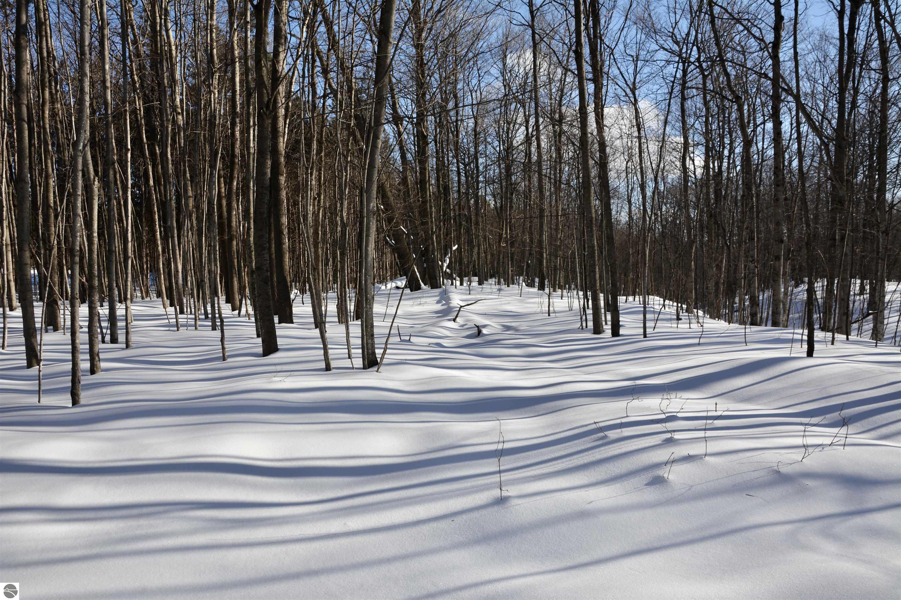 0 S Schomberg Road