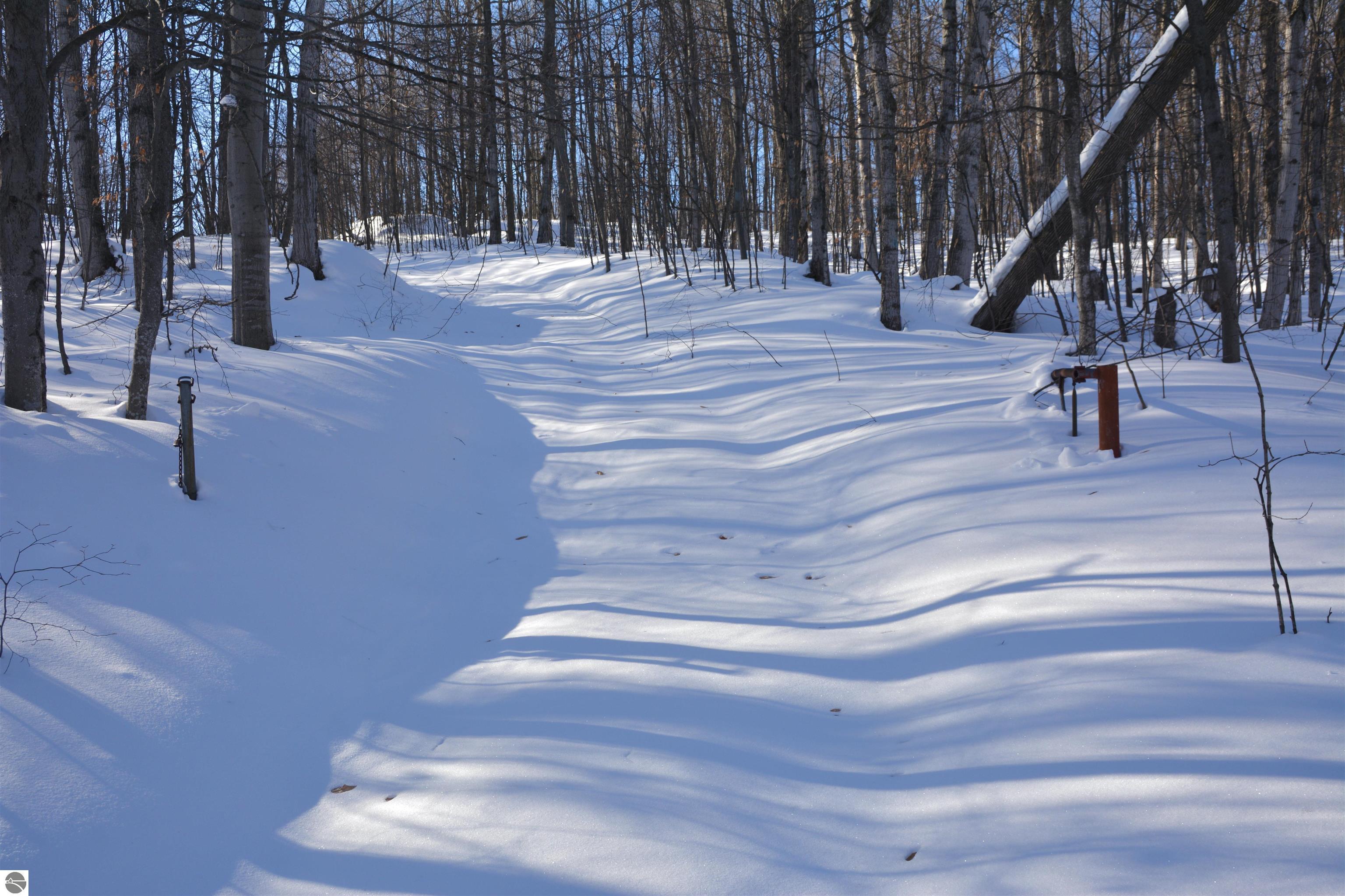 0 S Schomberg Road