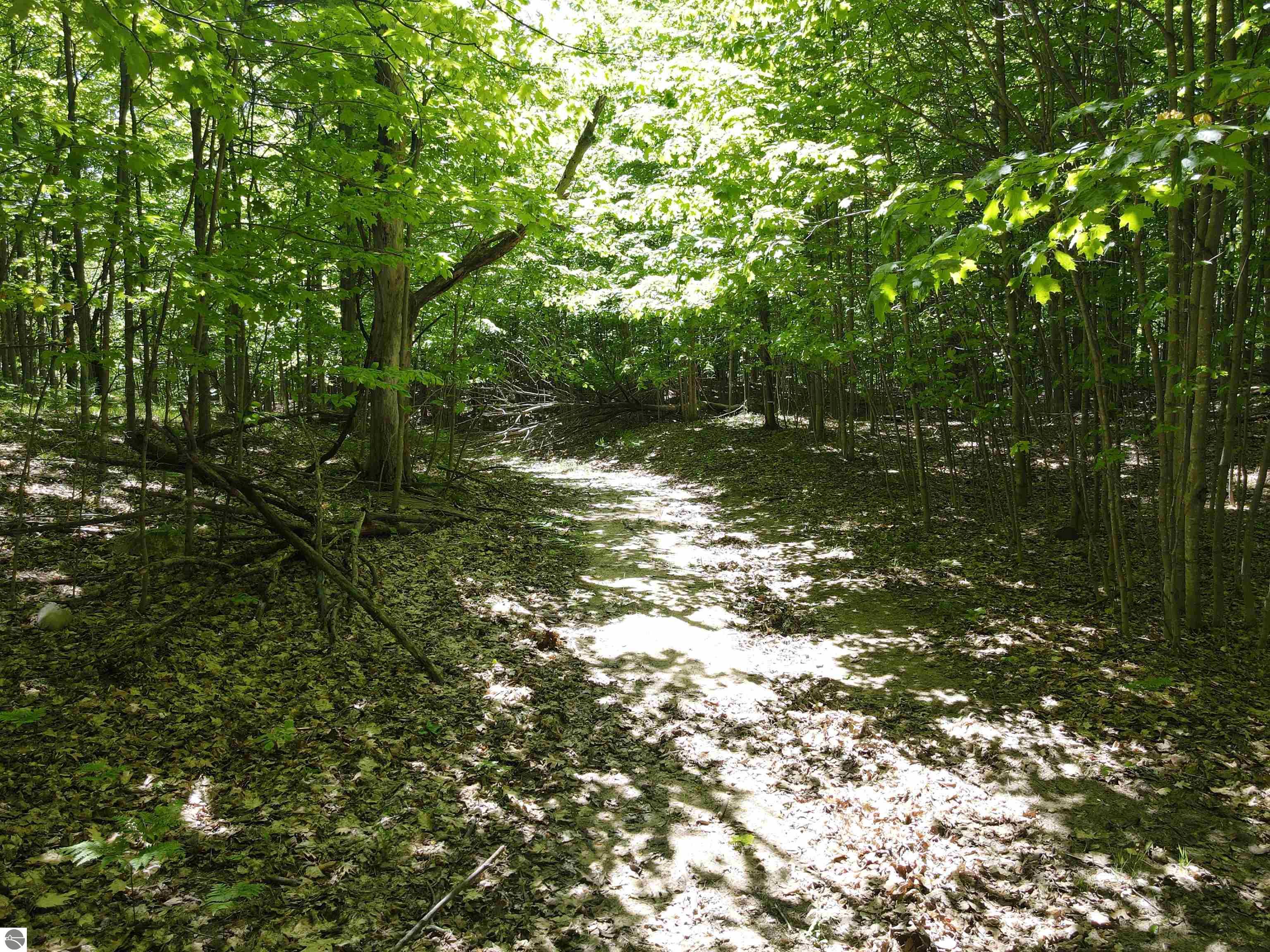 0 S Schomberg Road