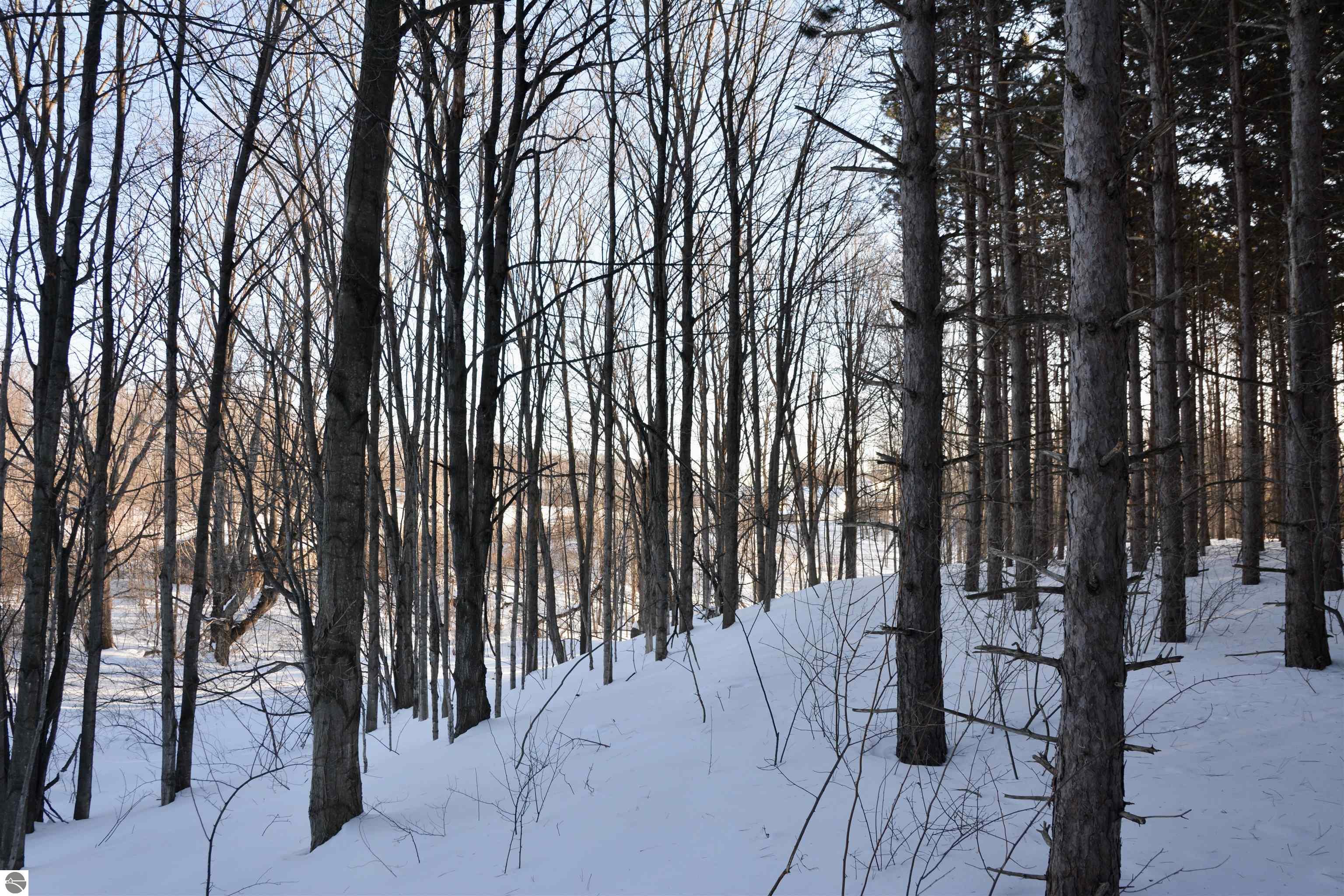 0 S Schomberg Road