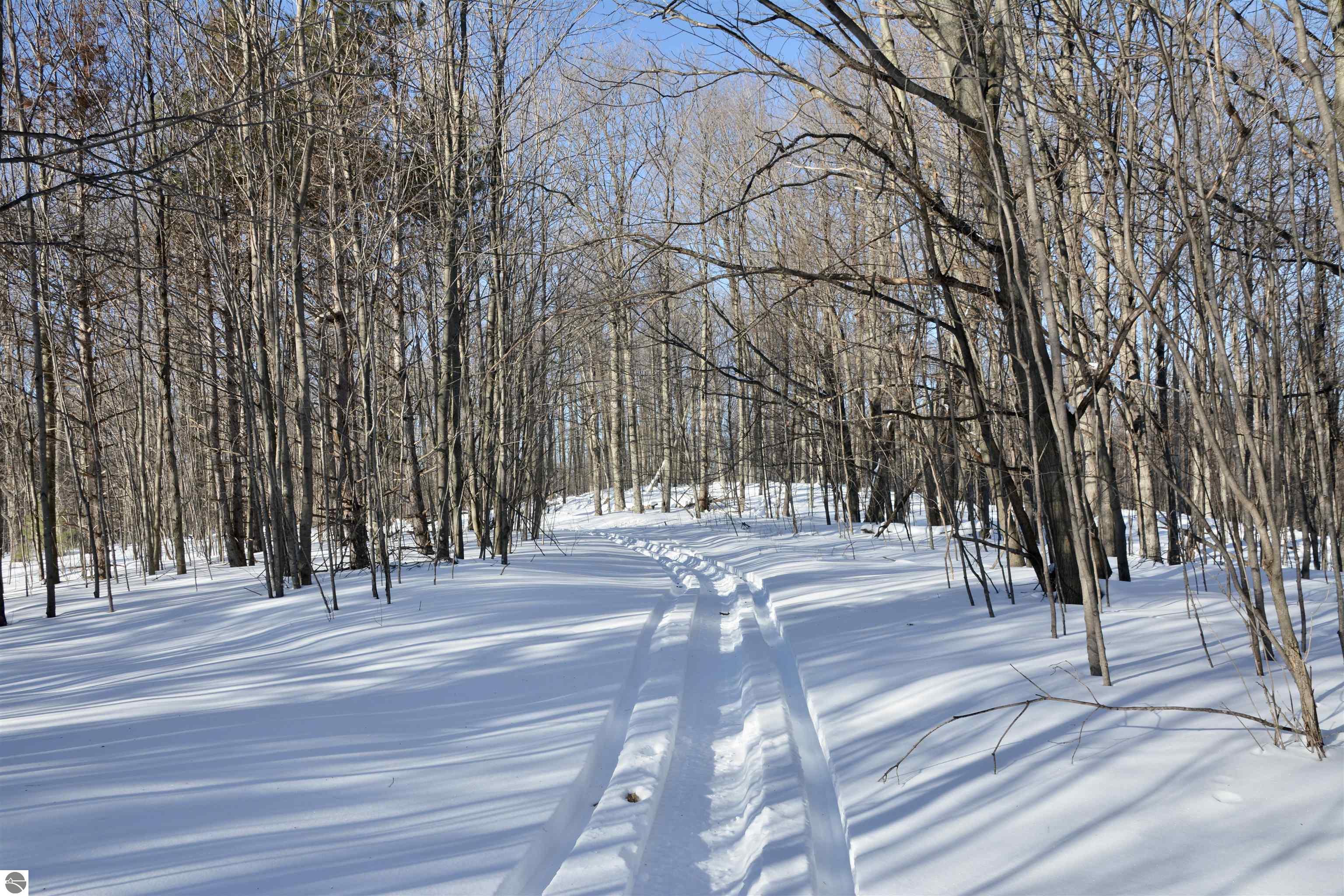 0 S Schomberg Road