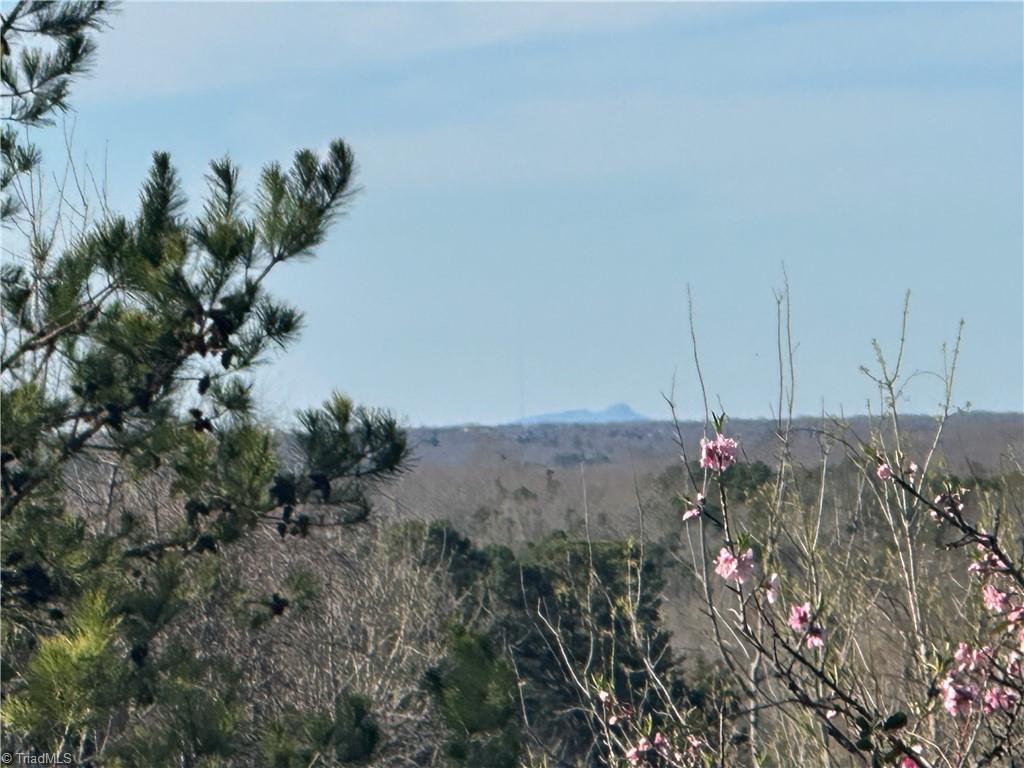 3453 Nc Highway 47
