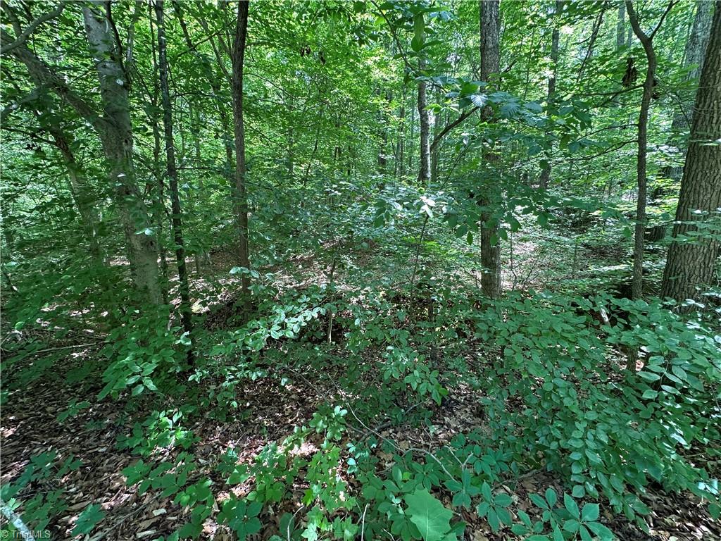246 Mill Stream Lane