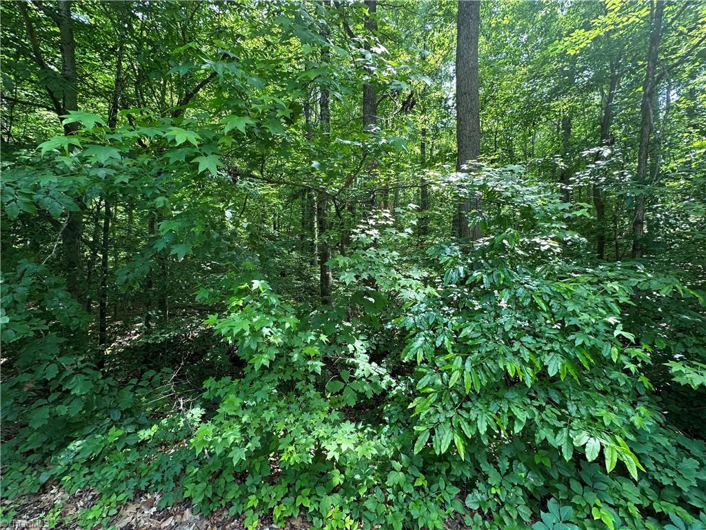 246 Mill Stream Lane