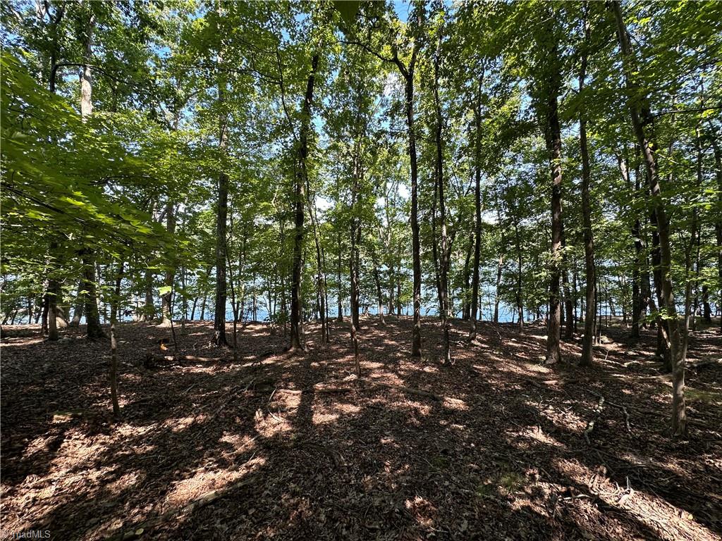 1768 Rocky Cove Lane