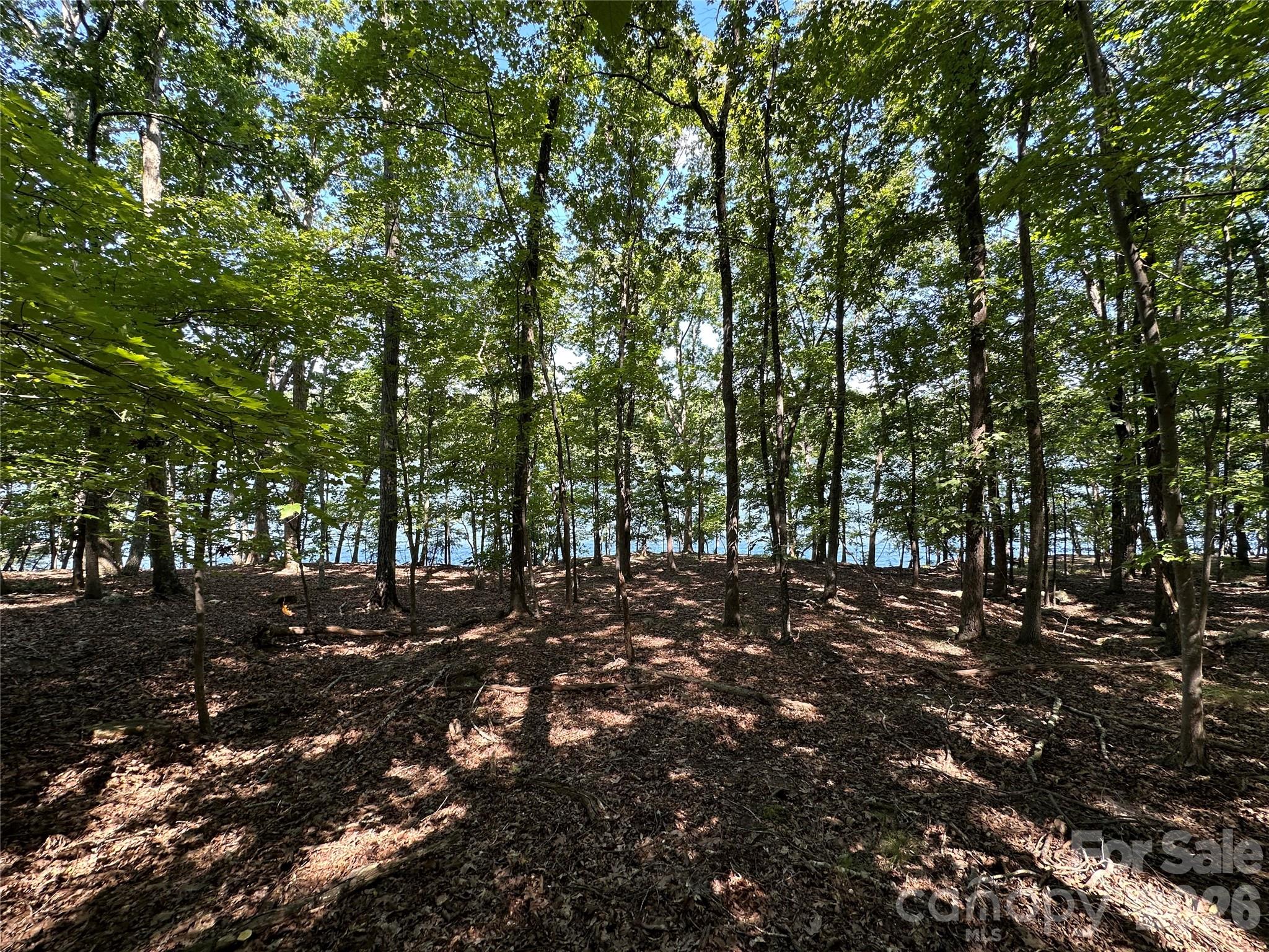 1768 Rocky Cove Lane
