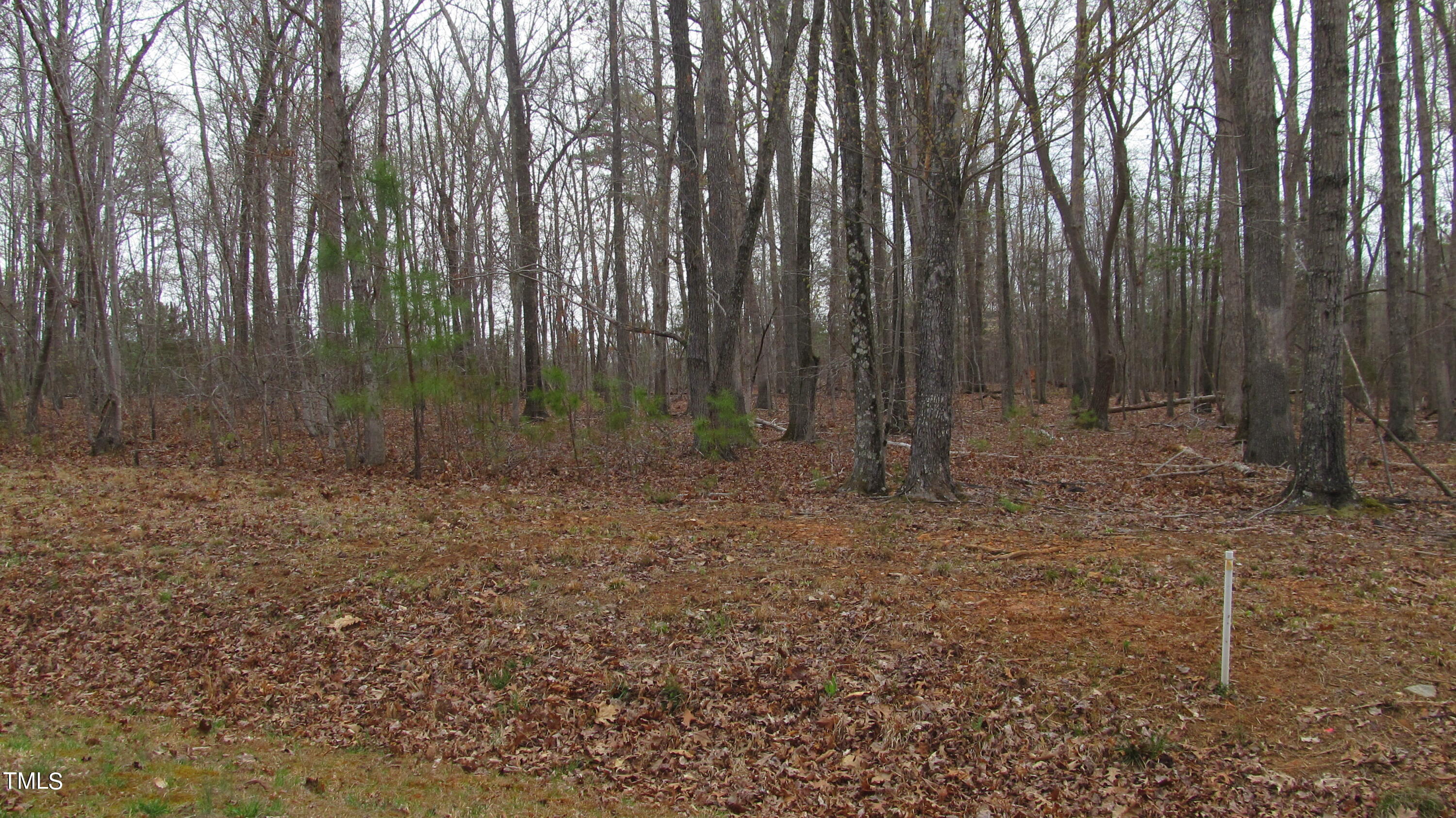 14 Ferry Hill Trail
