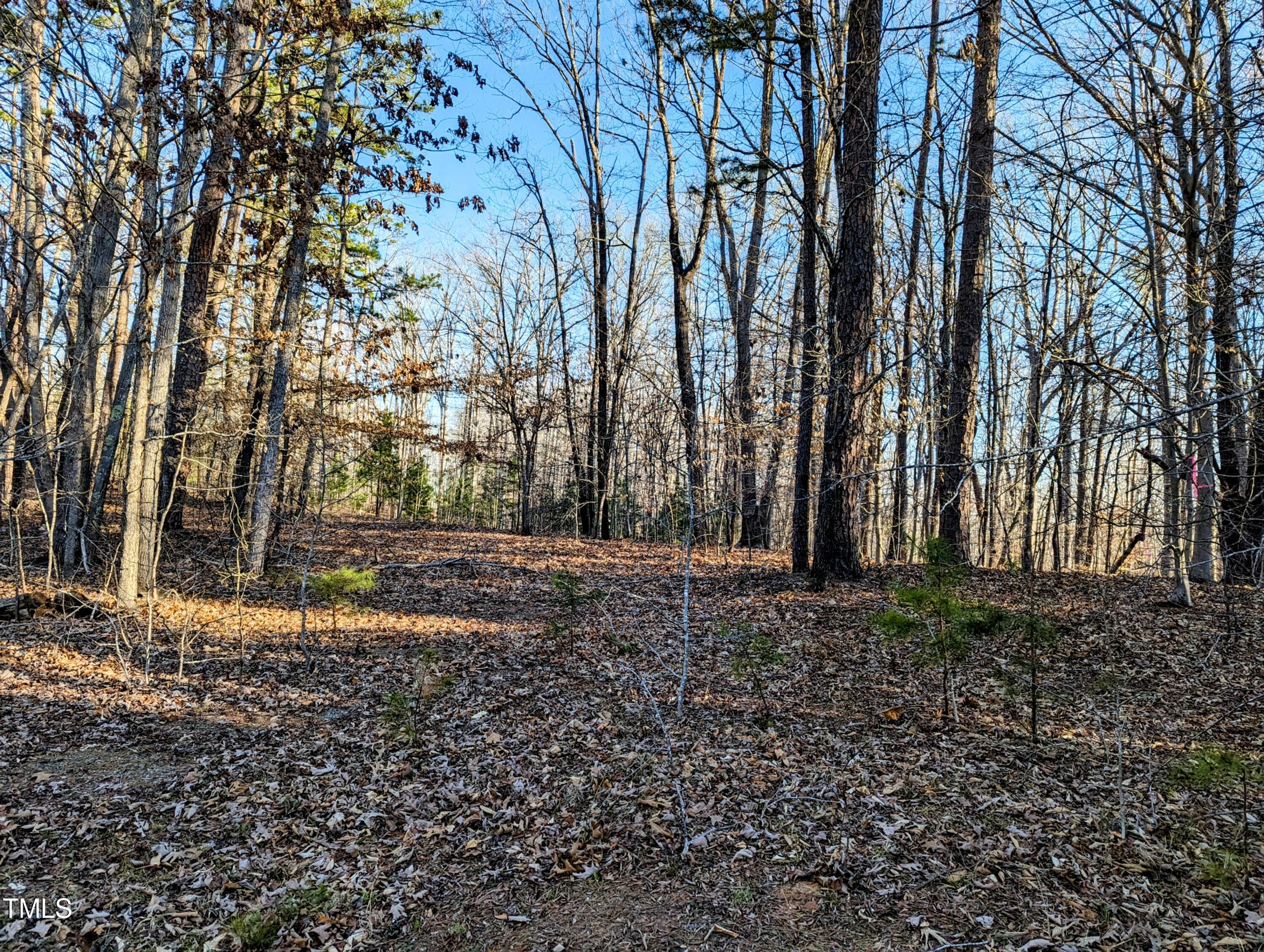 Lot 15 Olde Forest Road