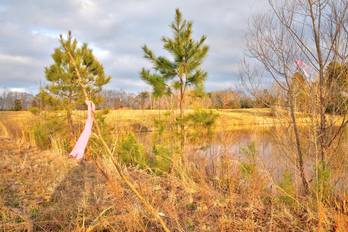 Lot 23 Grace Stone Drive