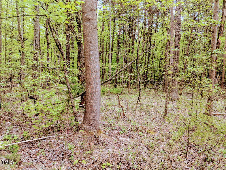 97 Occoneechee Drive