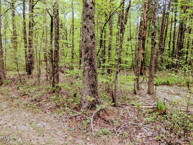 97 Occoneechee Drive