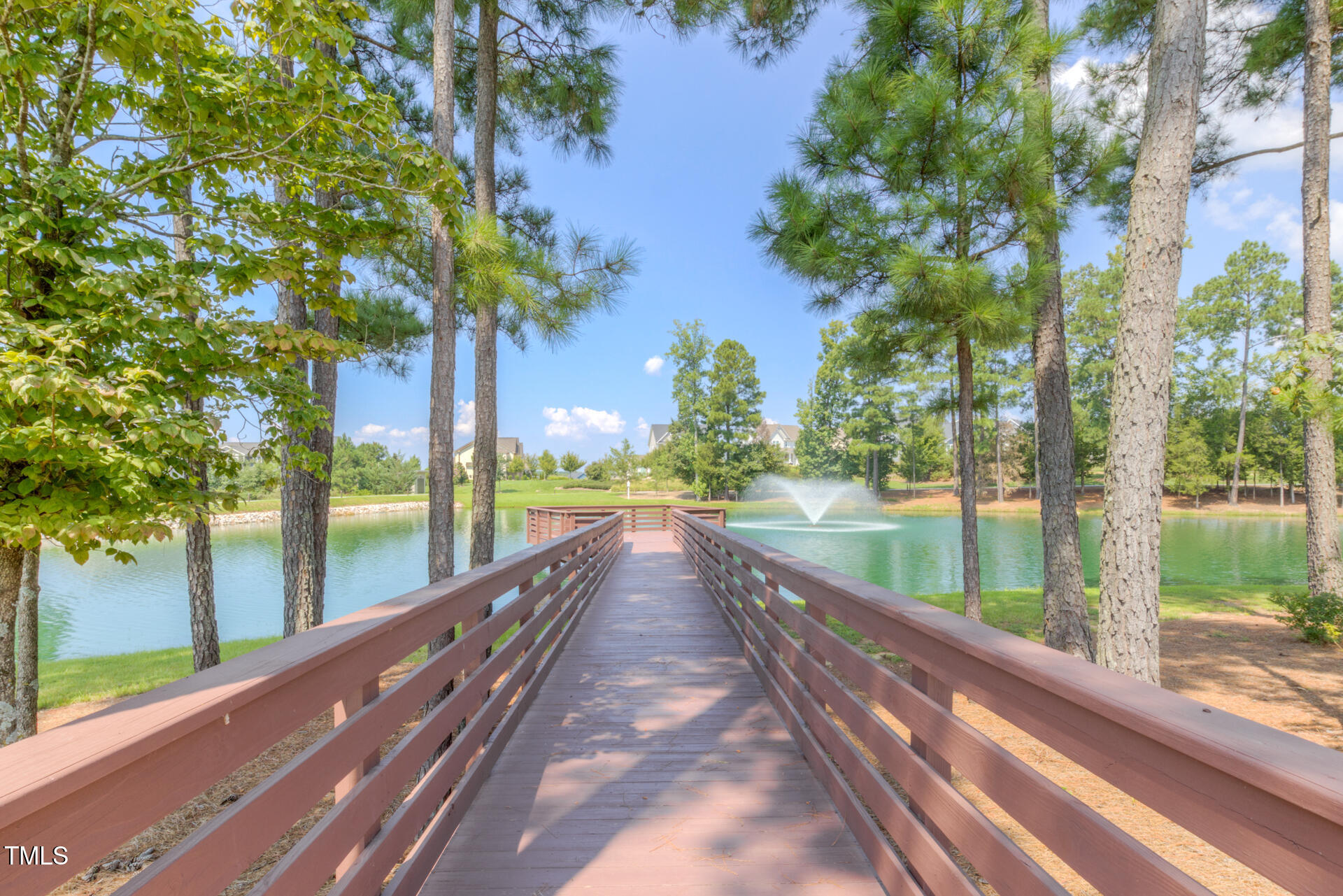 1529 Big Falls Drive