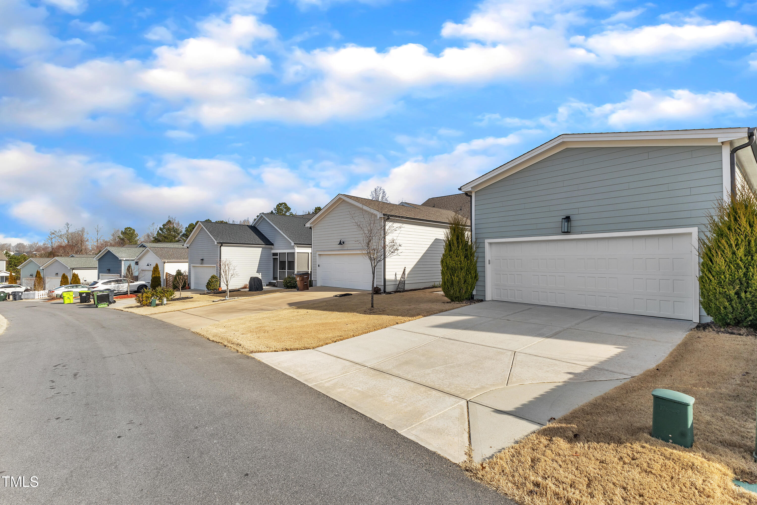 1529 Big Falls Drive