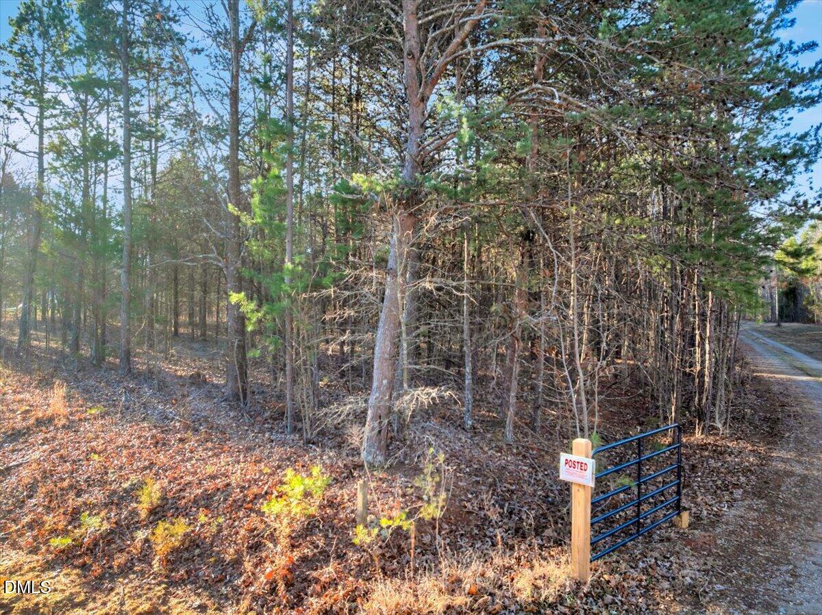 279 Large Mouth Lane