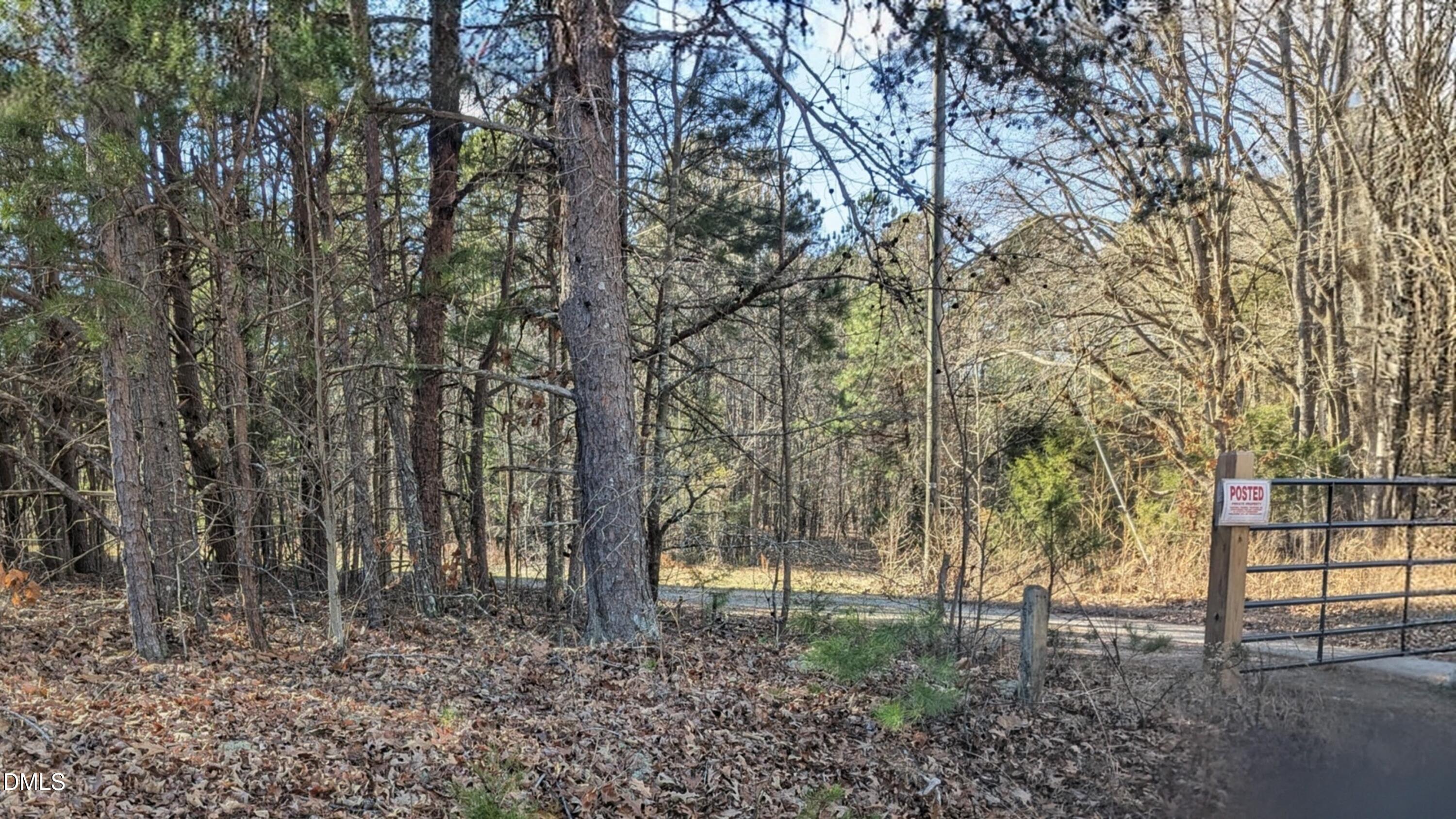 279 Large Mouth Lane