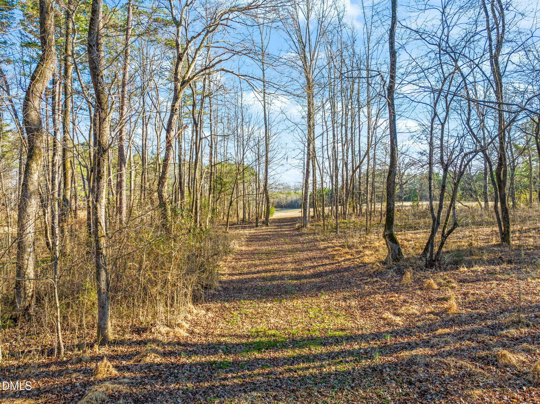 3150 Willards Mill Road