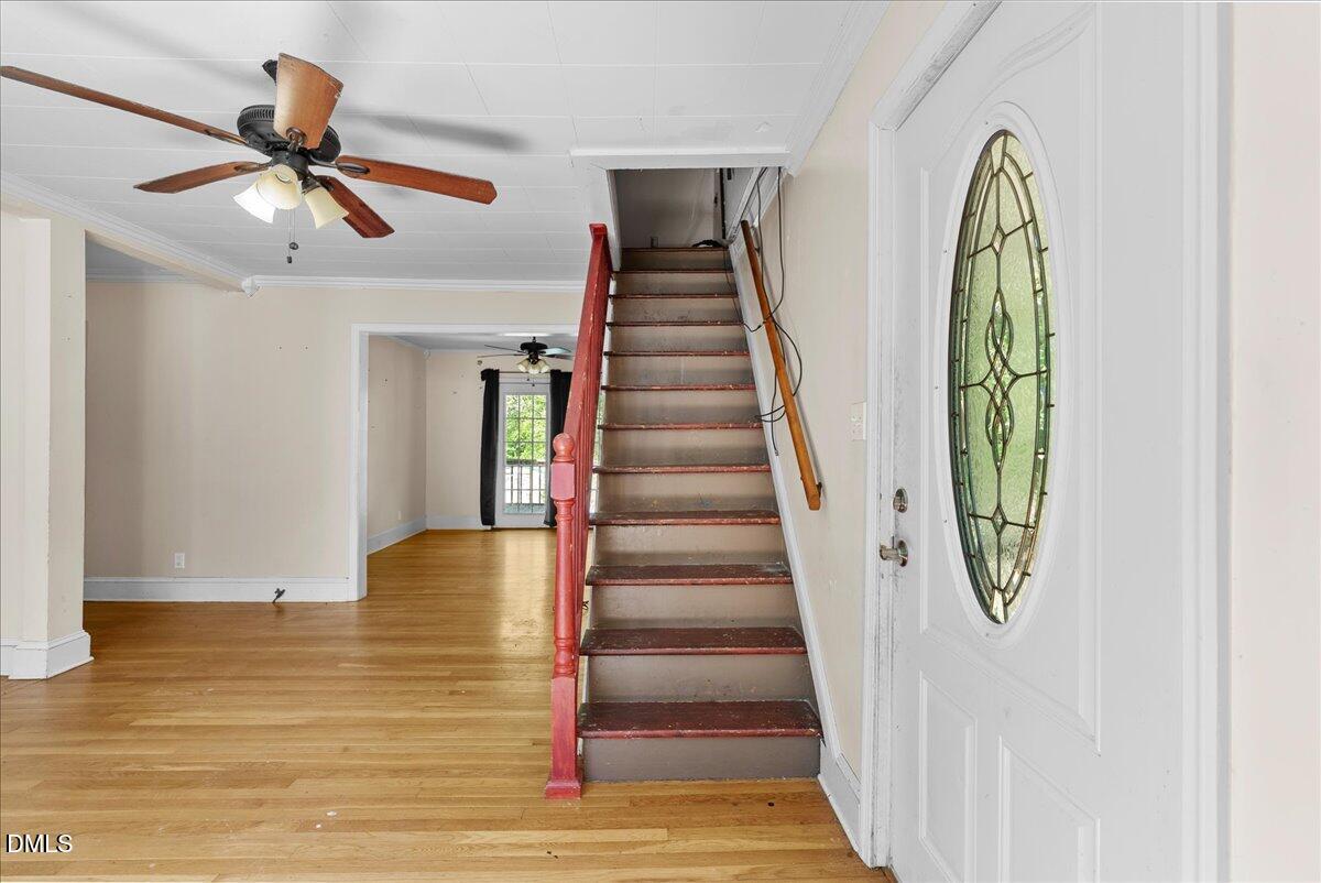 117 Forest Hill Street