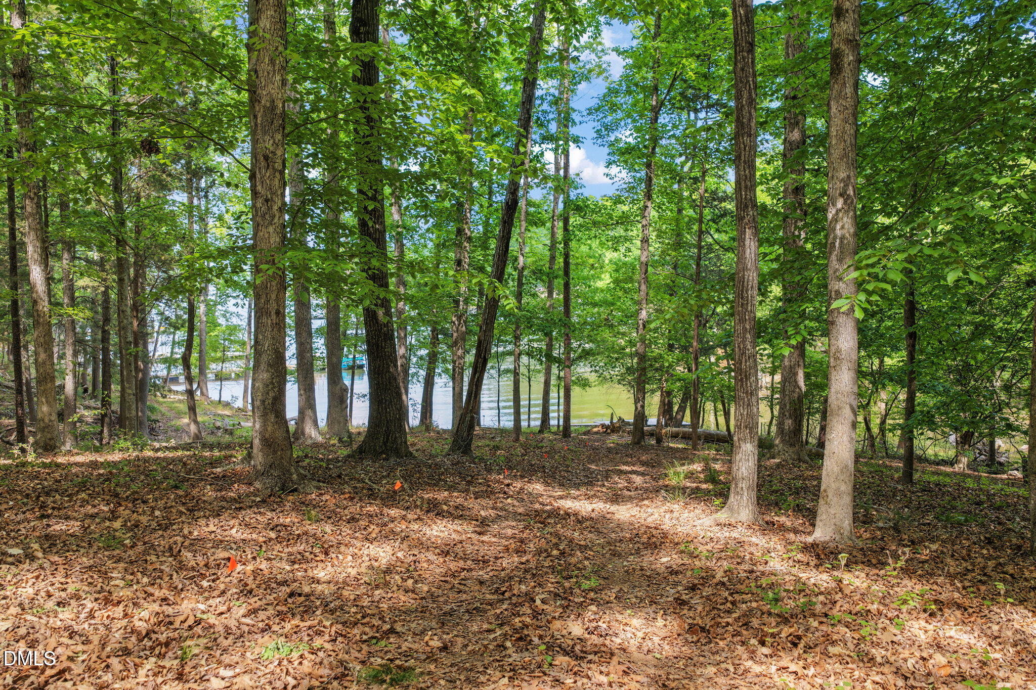 373 Lewis Road