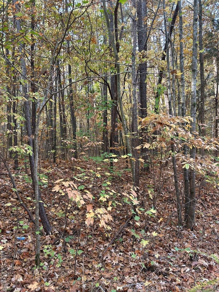 Lot 12 Greenvalley Drive