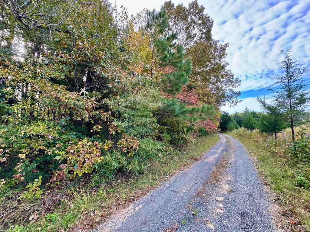 45.83 Ac Old School Road