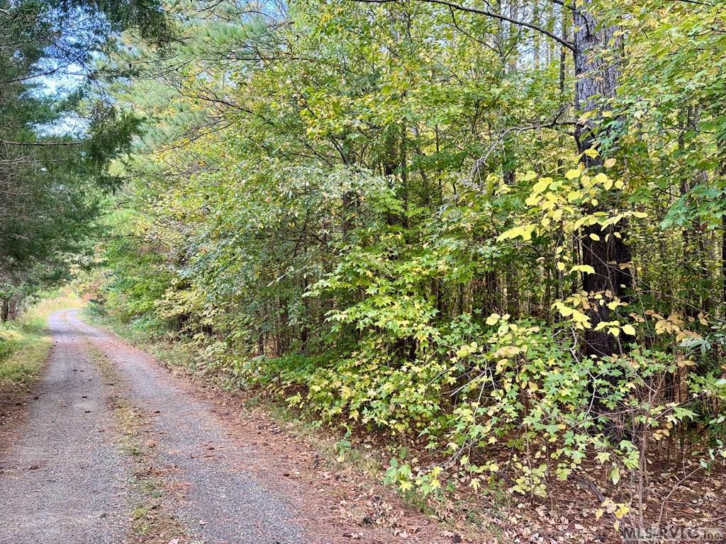 45.83 Ac Old School Road