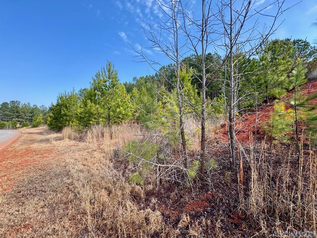 Lot 21 Belle Grove Drive
