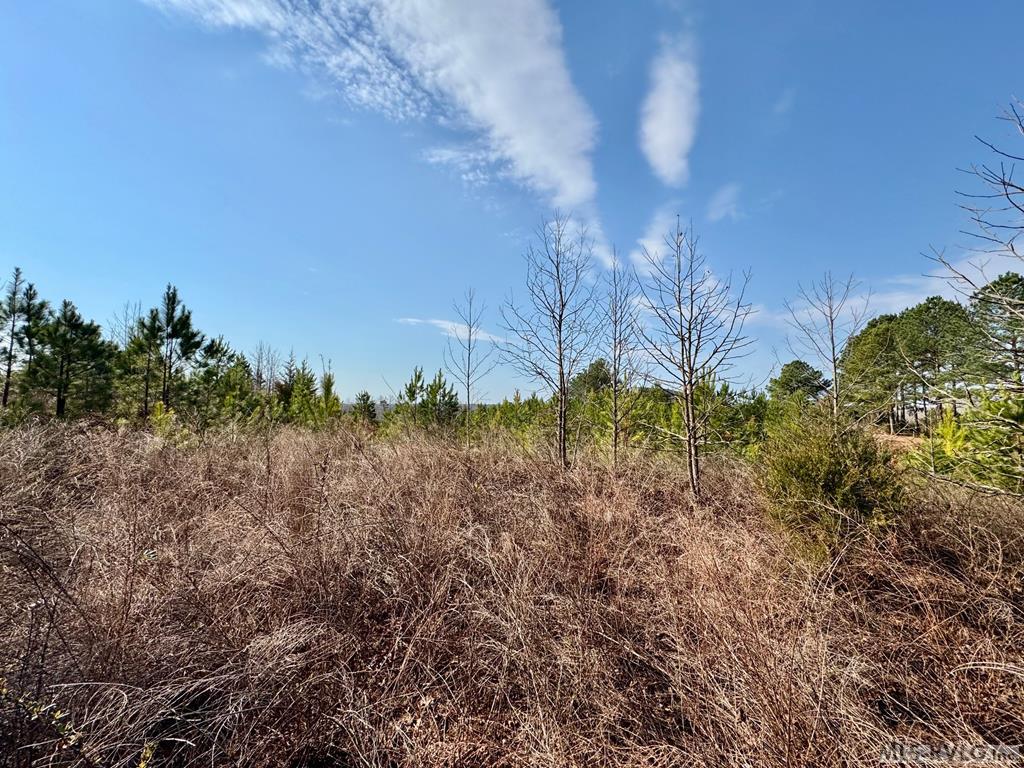 Lot 21 Belle Grove Drive