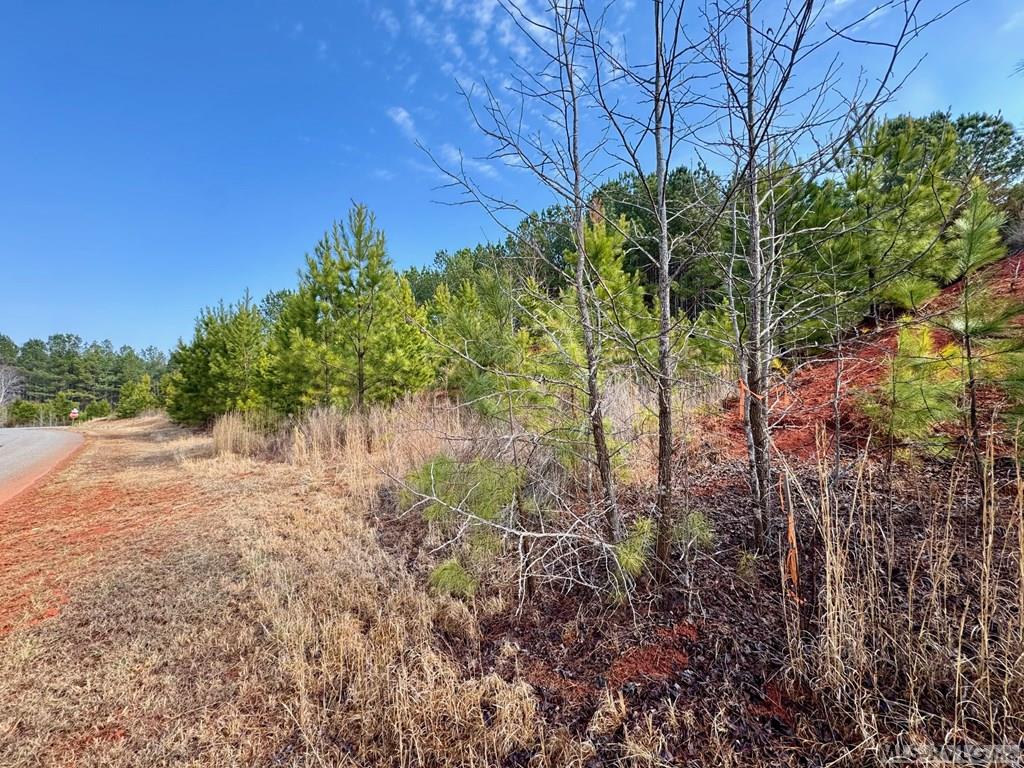 Lot 21 Belle Grove Drive