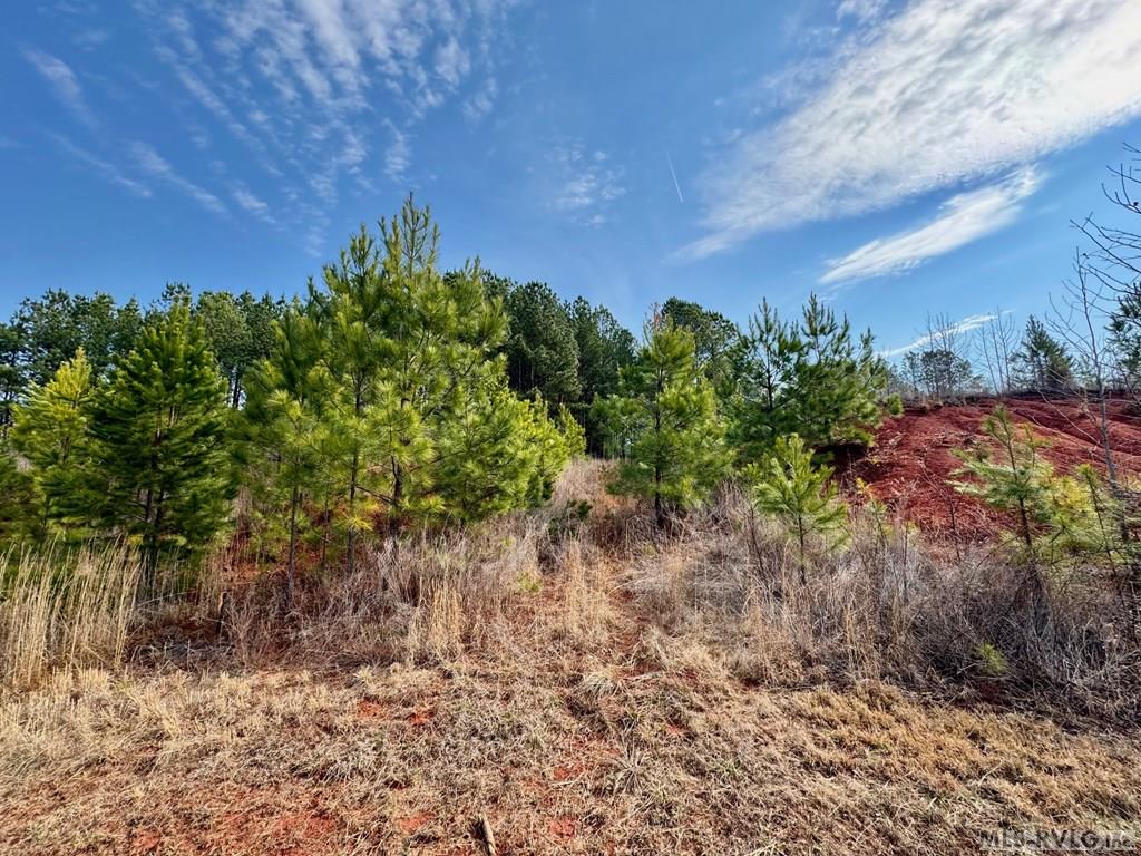 Lot 21 Belle Grove Drive