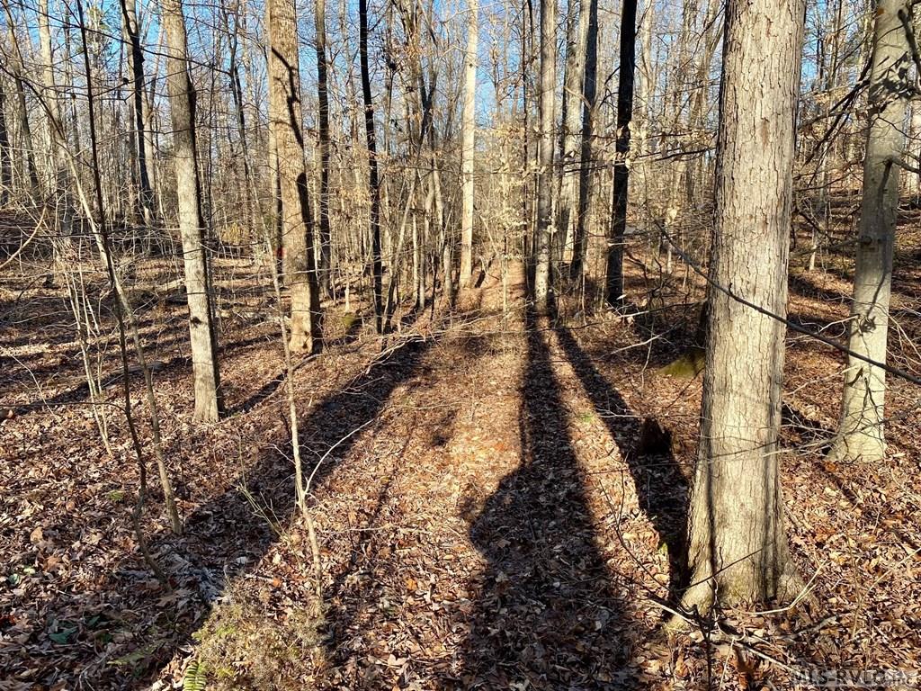 Lot 45 Buffalo Drive