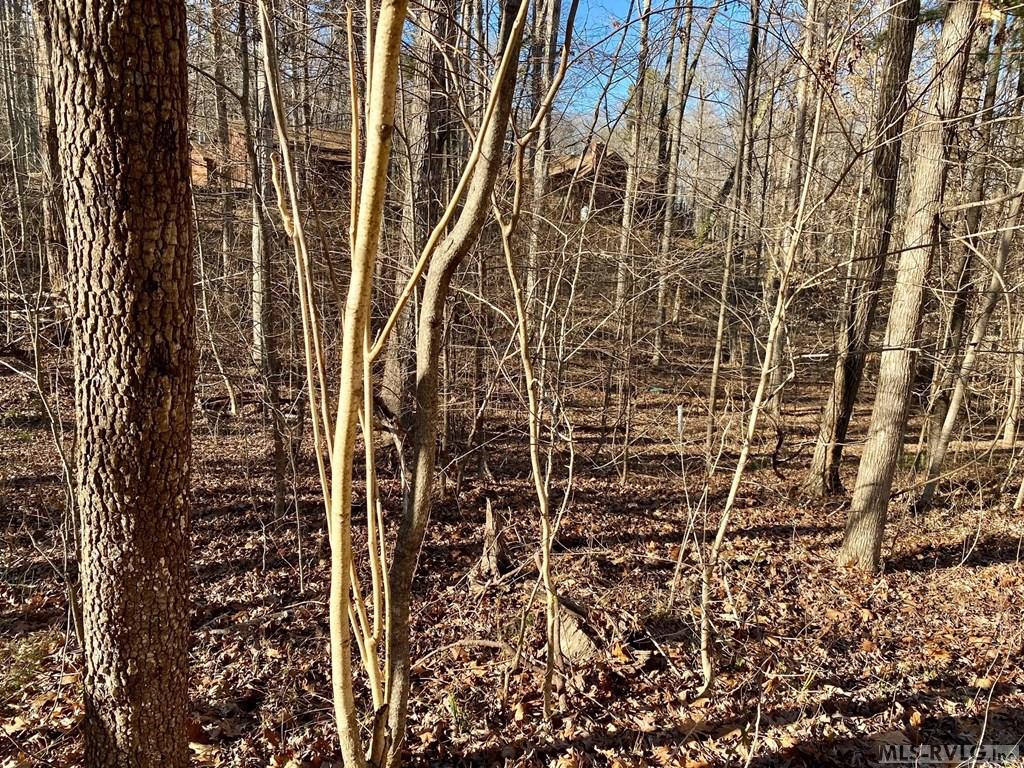 Lot 45 Buffalo Drive