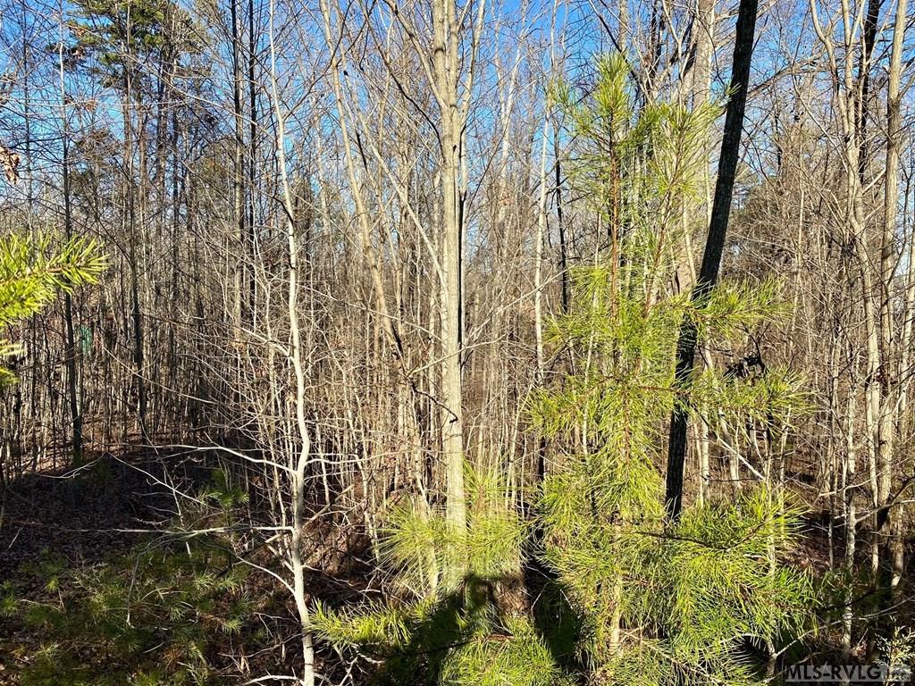 Lot 45 Buffalo Drive