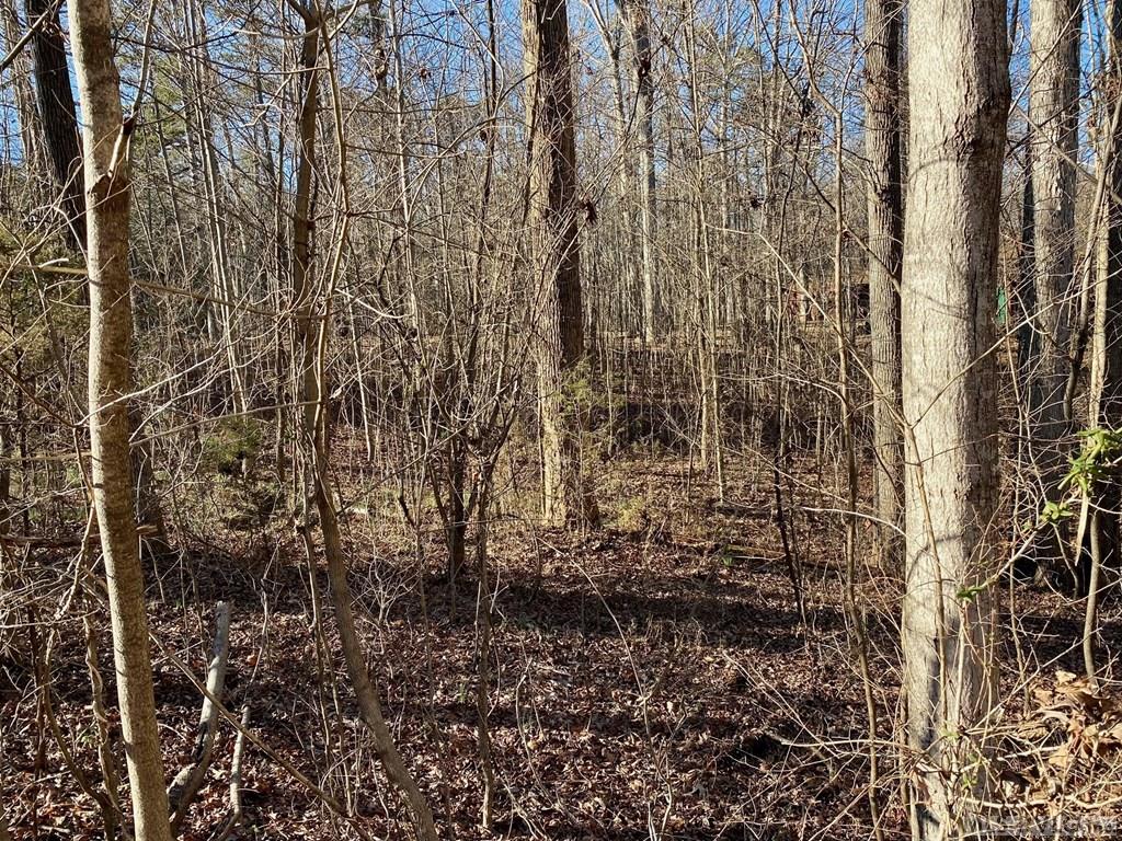Lot 45 Buffalo Drive