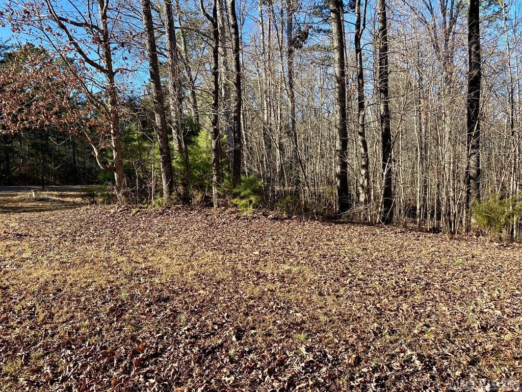 Lot 45 Buffalo Drive
